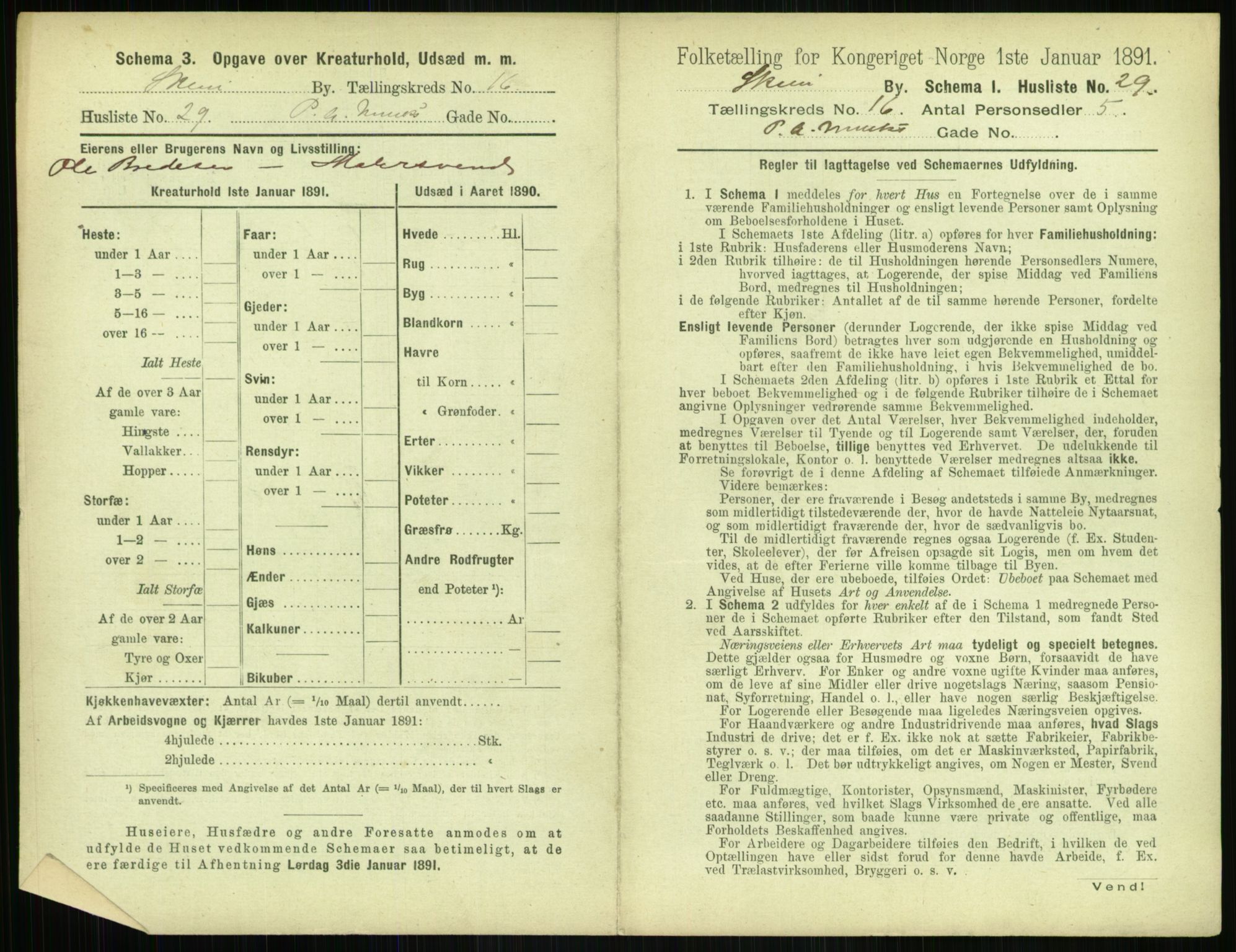 RA, 1891 census for 0806 Skien, 1891, p. 666