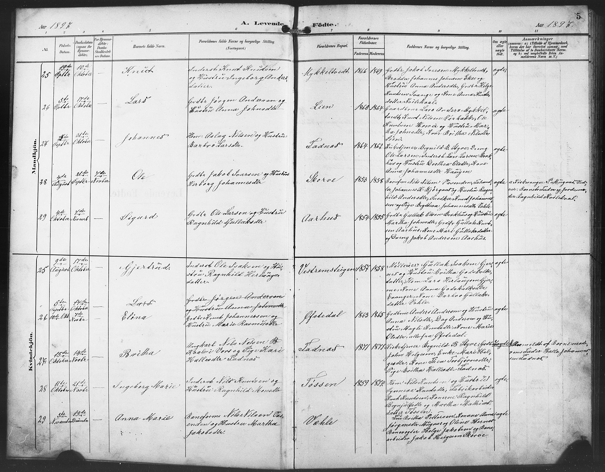 Evanger sokneprestembete, SAB/A-99924: Parish register (copy) no. A 5, 1897-1917, p. 5