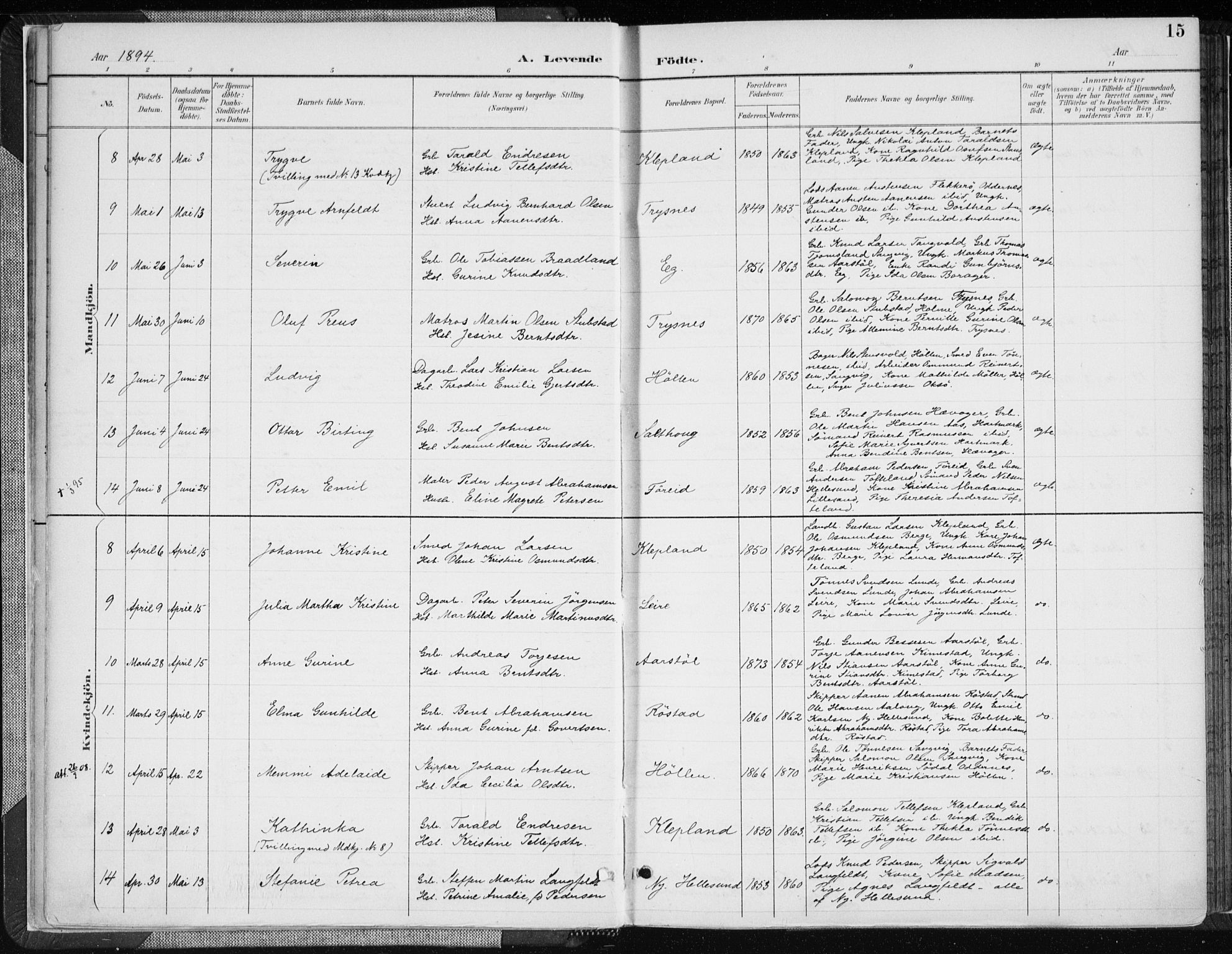 Søgne sokneprestkontor, SAK/1111-0037/F/Fa/Fab/L0013: Parish register (official) no. A 13, 1892-1911, p. 15