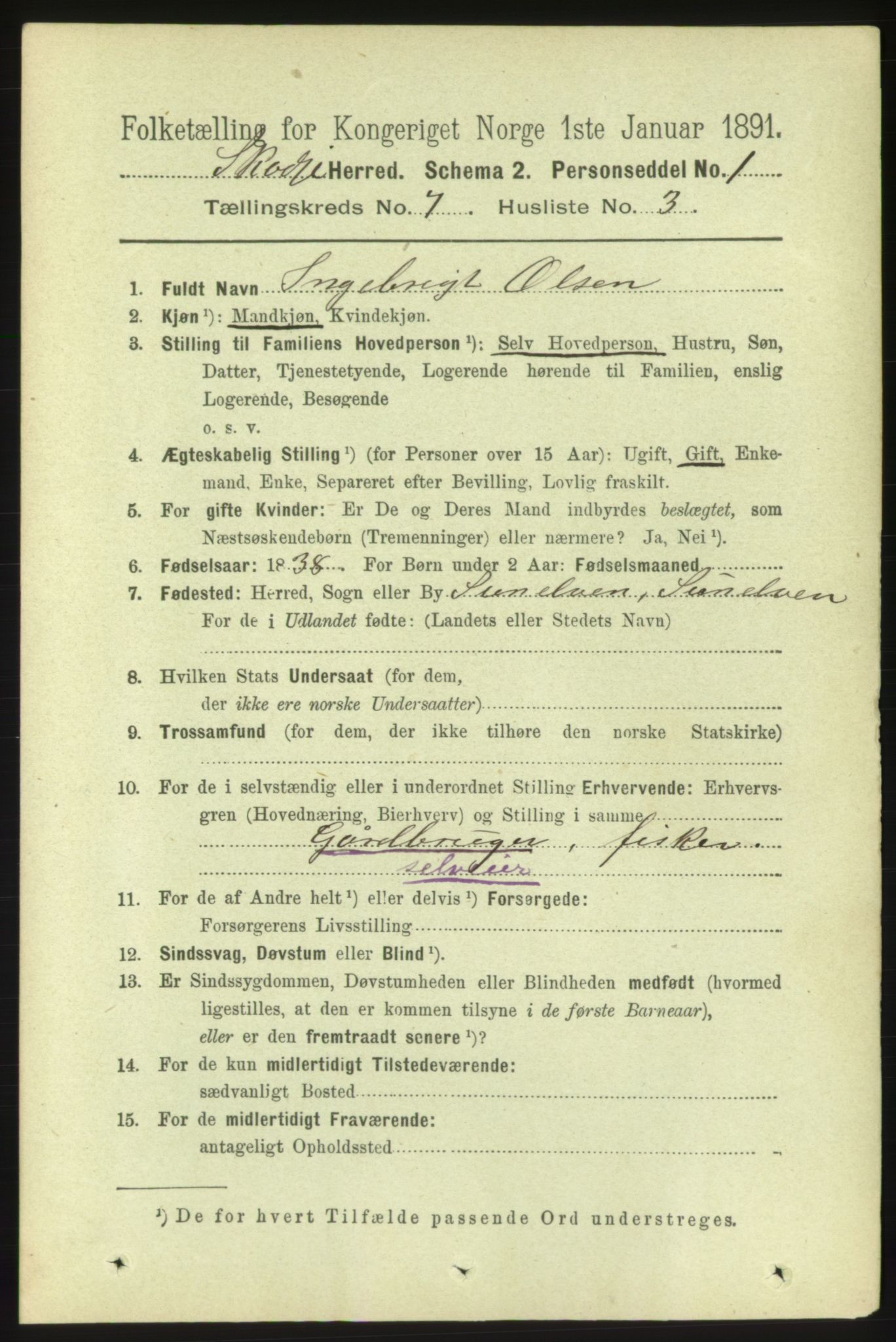 RA, 1891 census for 1529 Skodje, 1891, p. 1425