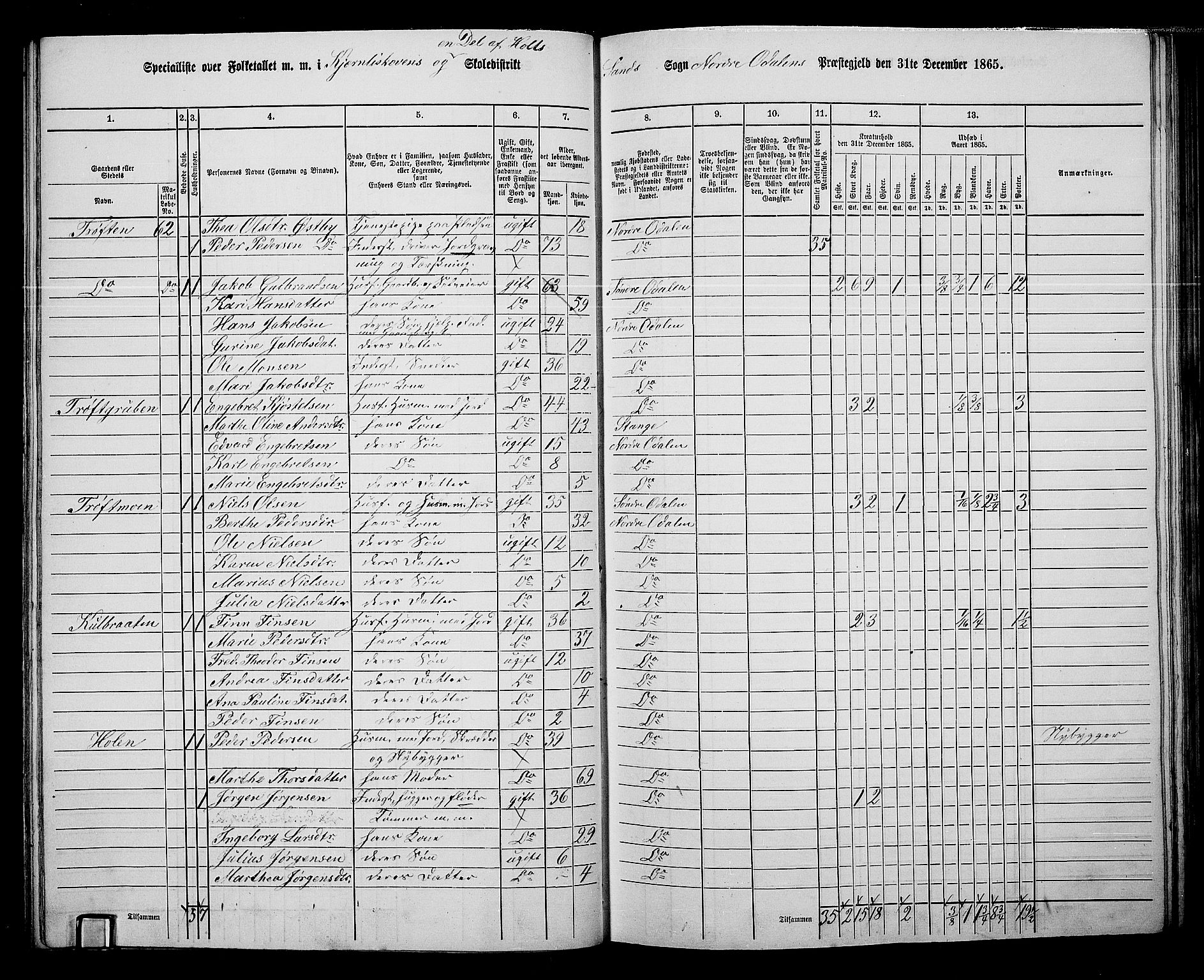 RA, 1865 census for Nord-Odal, 1865, p. 57