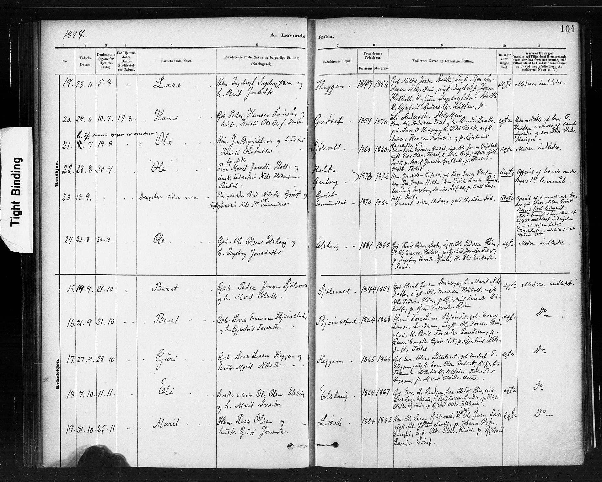 Ministerialprotokoller, klokkerbøker og fødselsregistre - Møre og Romsdal, AV/SAT-A-1454/598/L1069: Parish register (official) no. 598A03, 1882-1895, p. 104