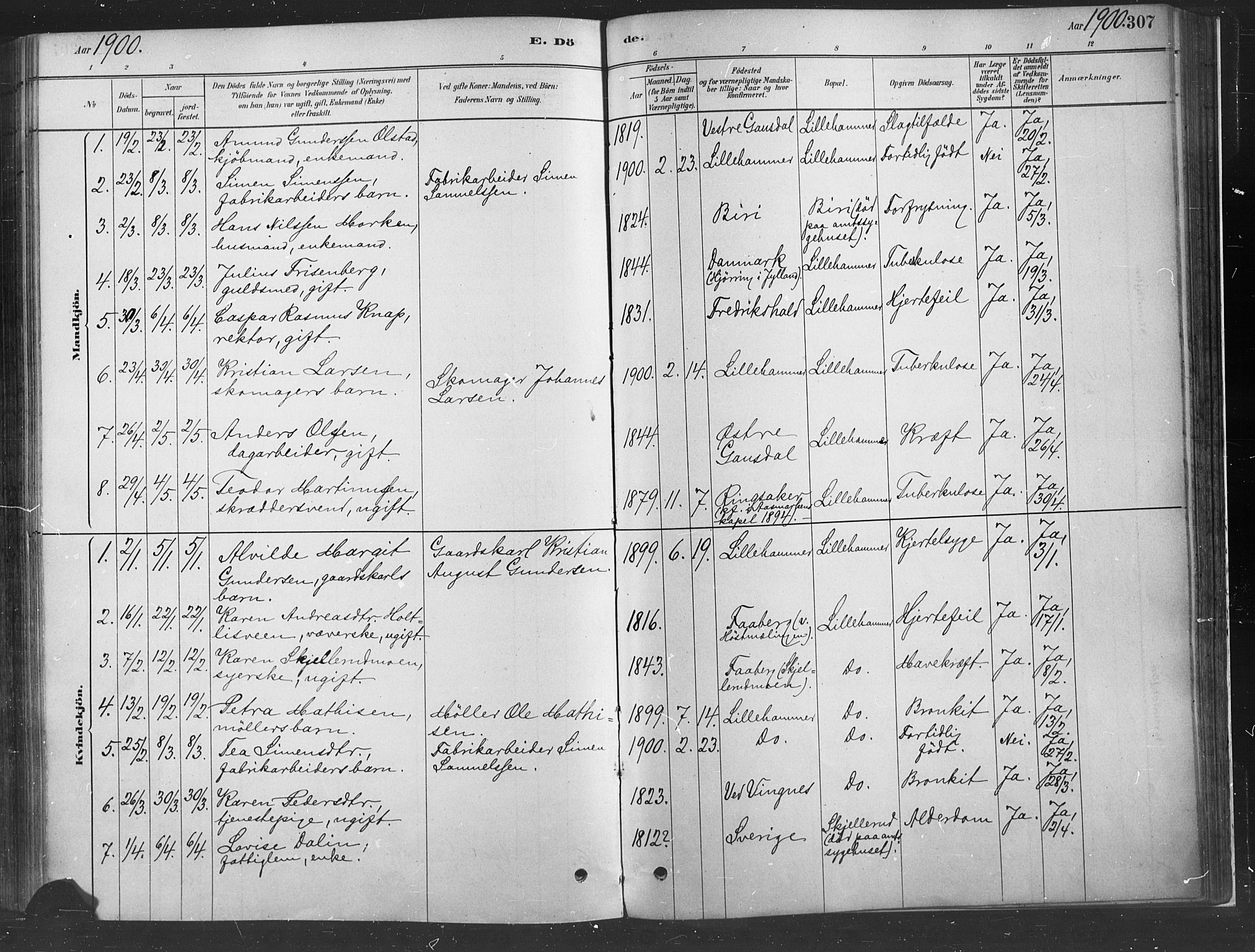 Fåberg prestekontor, SAH/PREST-086/H/Ha/Haa/L0010: Parish register (official) no. 10, 1879-1900, p. 307