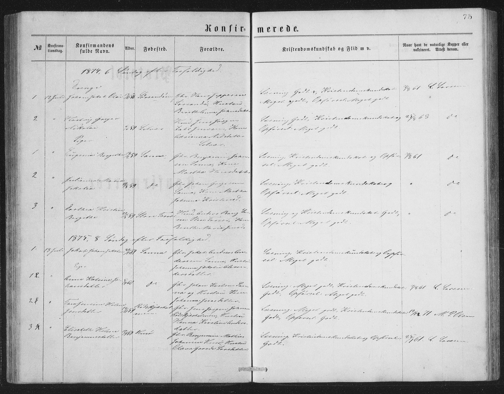 Ministerialprotokoller, klokkerbøker og fødselsregistre - Nordland, SAT/A-1459/840/L0582: Parish register (copy) no. 840C02, 1874-1900, p. 75