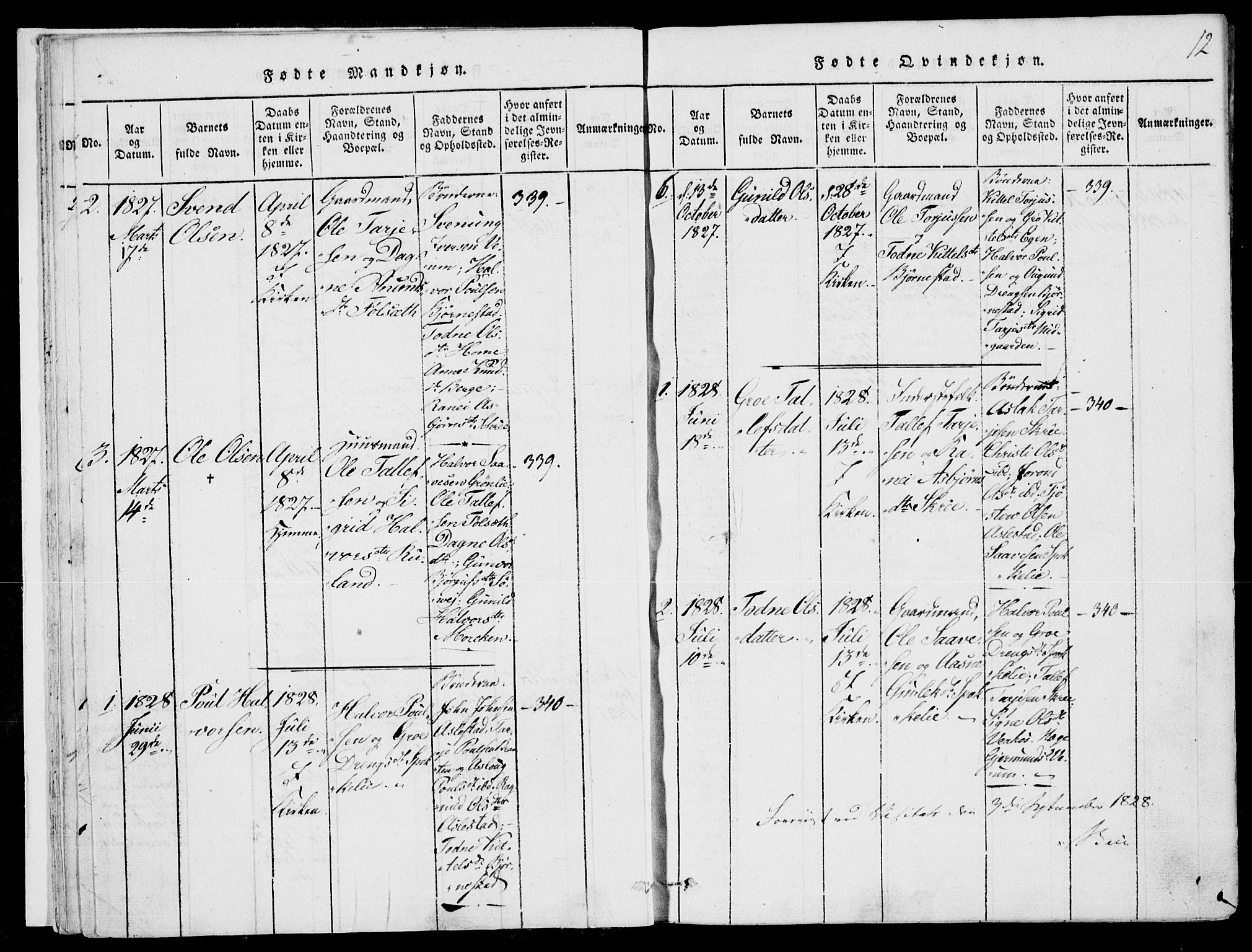 Fyresdal kirkebøker, AV/SAKO-A-263/F/Fb/L0001: Parish register (official) no. II 1, 1815-1854, p. 12