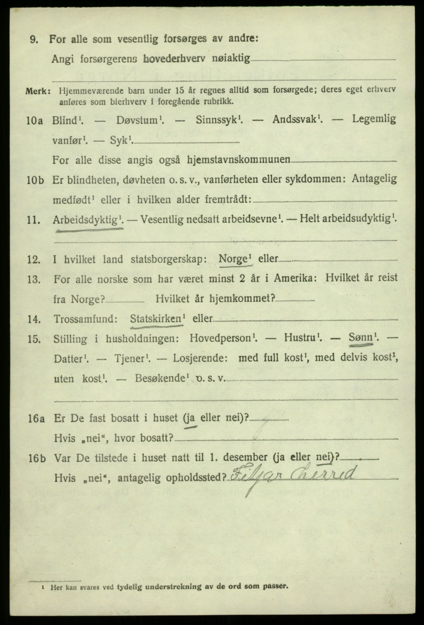 SAB, 1920 census for Odda, 1920, p. 11852