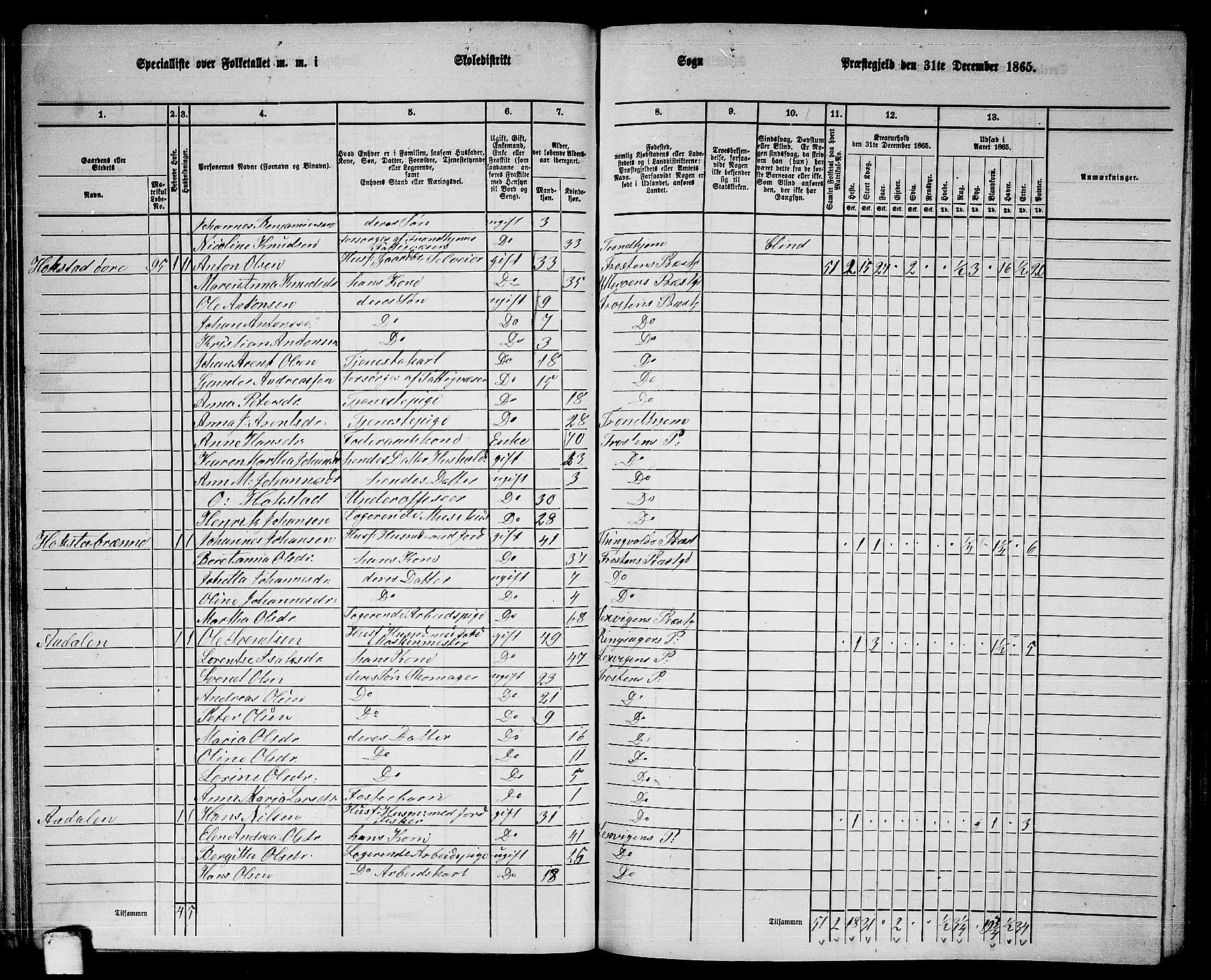 RA, 1865 census for Frosta, 1865, p. 58