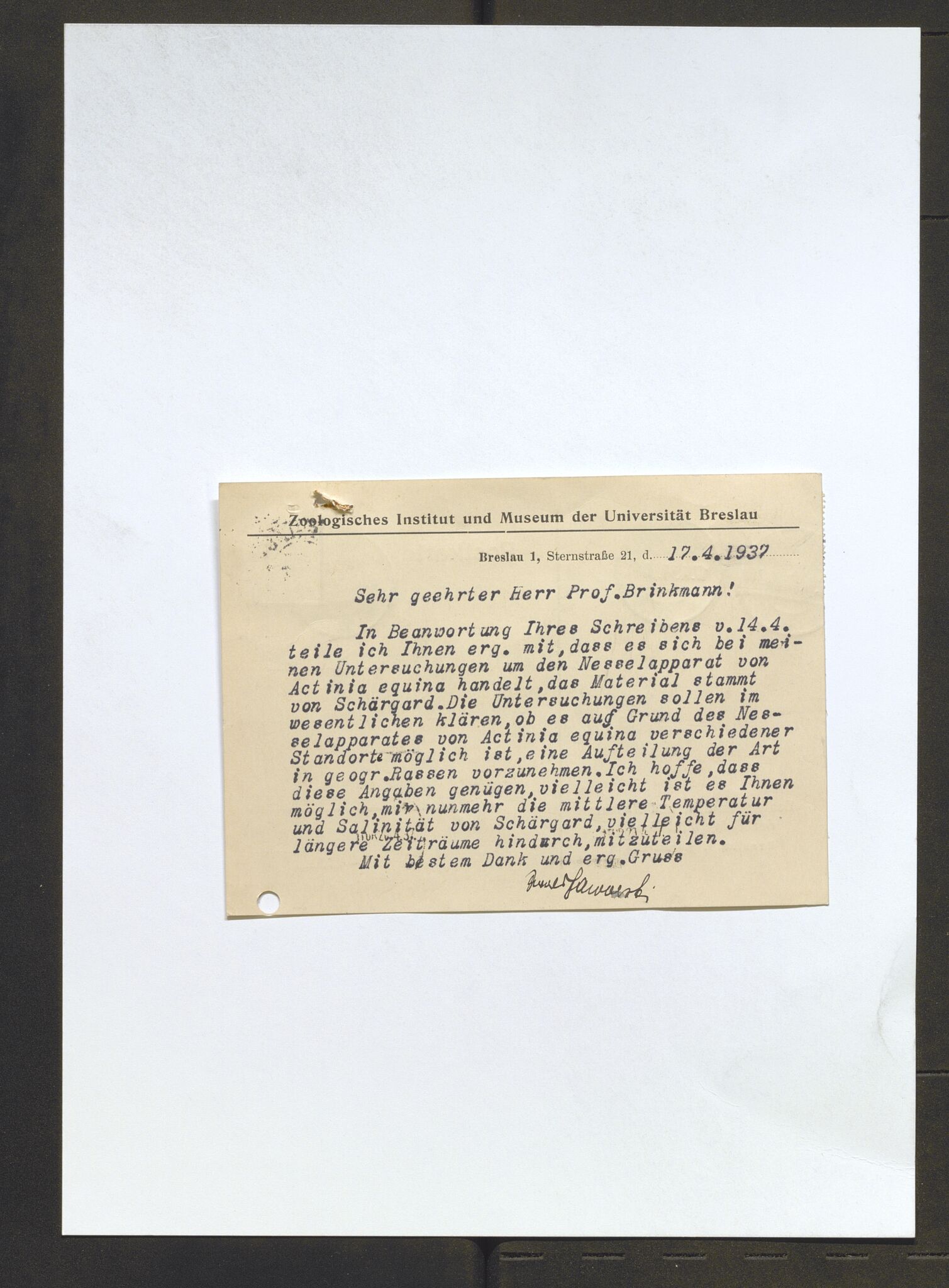 Bergens Museum, AV/SAB-A-17301/13/D/L0002: Korrespondanse , 1928-1940, p. 597