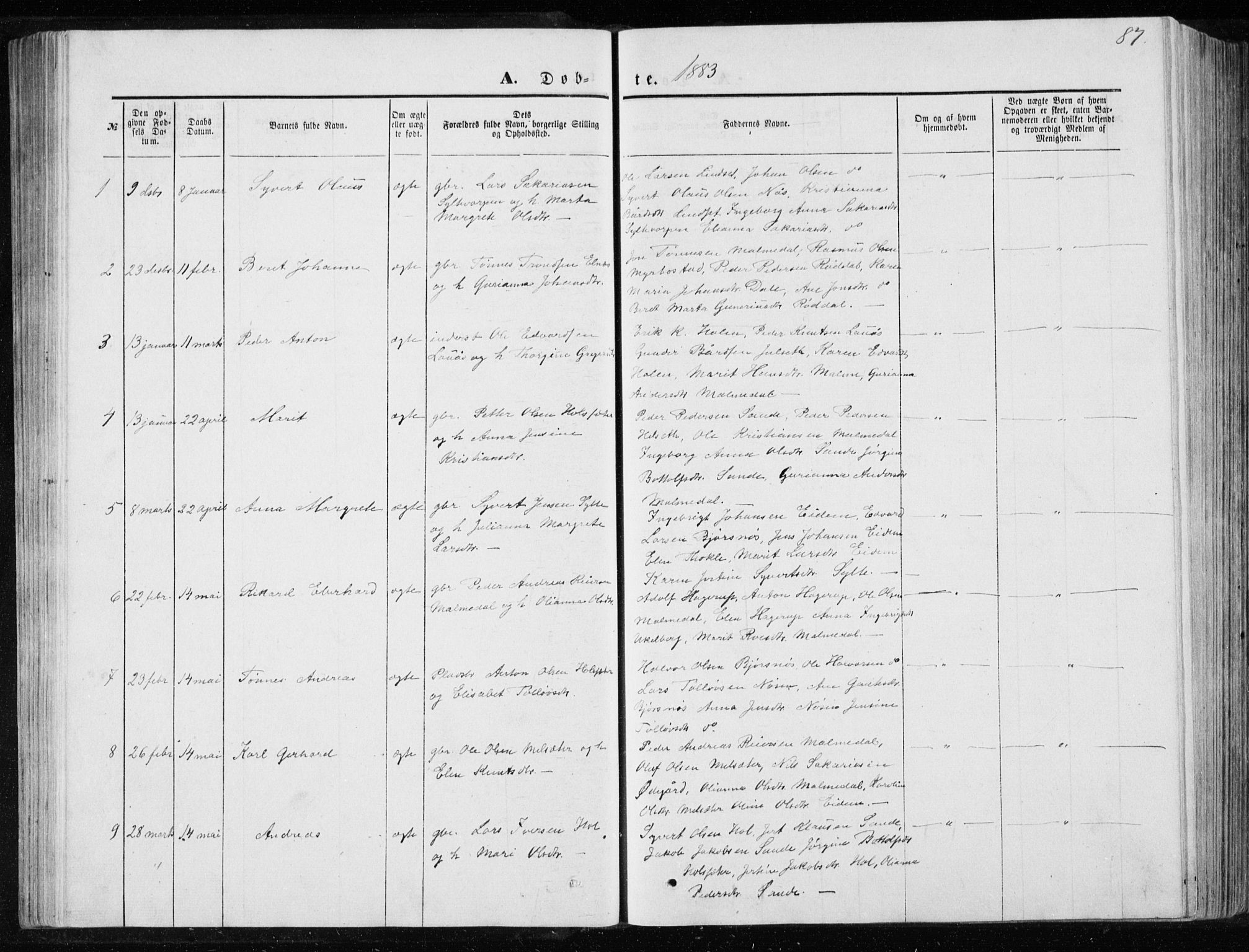 Ministerialprotokoller, klokkerbøker og fødselsregistre - Møre og Romsdal, AV/SAT-A-1454/565/L0754: Parish register (copy) no. 565C03, 1870-1896, p. 87