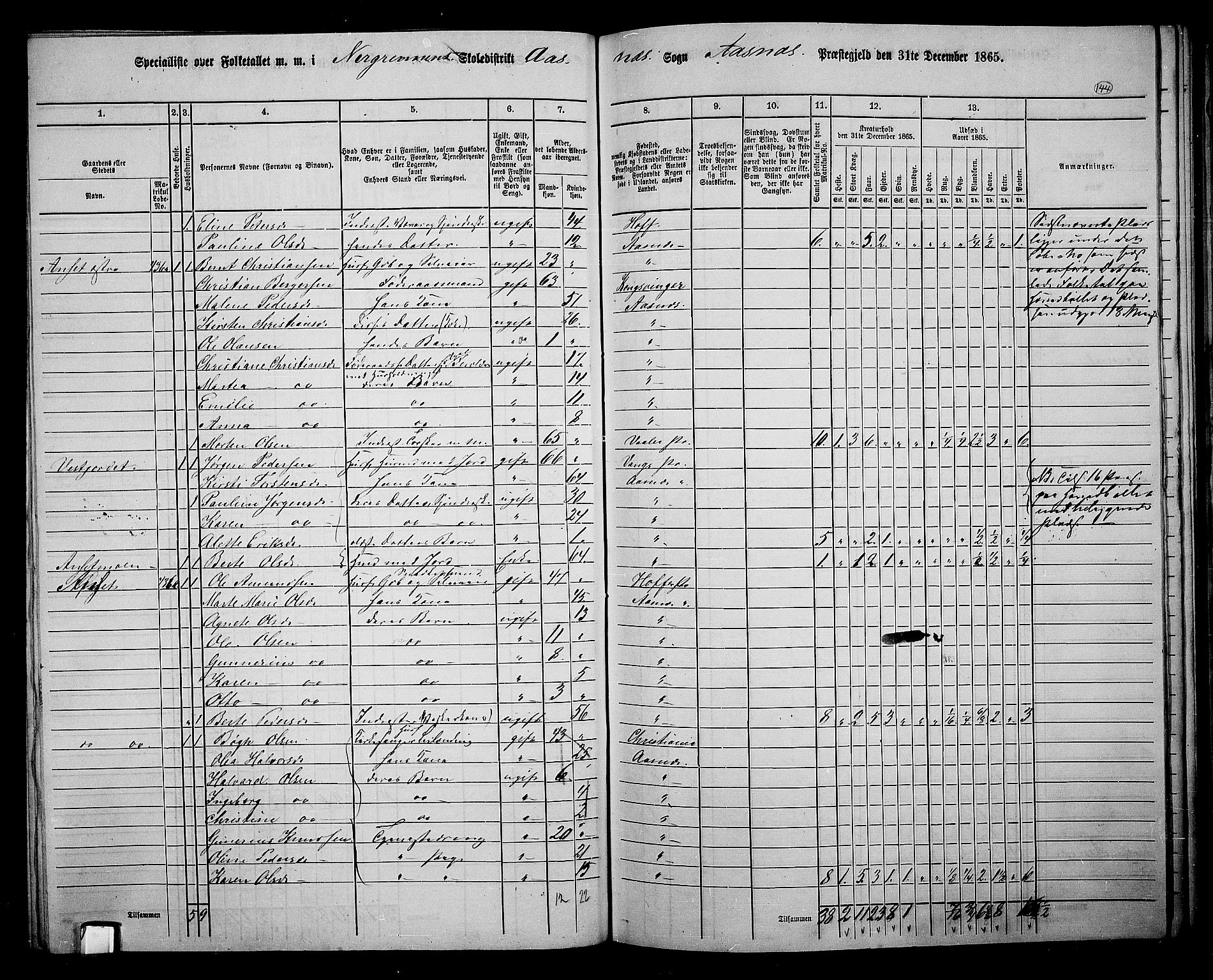 RA, 1865 census for Åsnes, 1865, p. 133