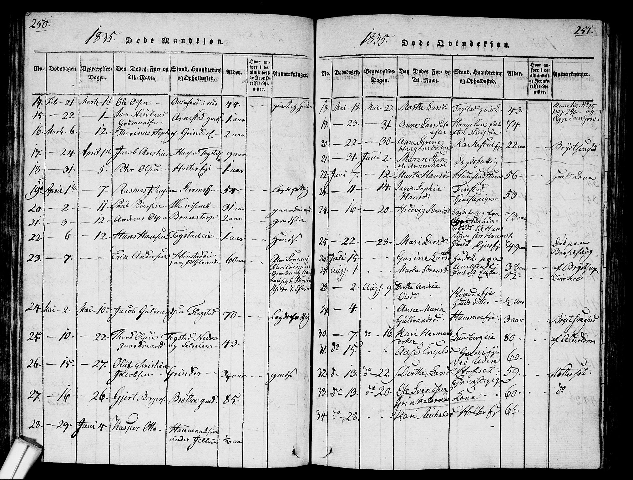 Nes prestekontor Kirkebøker, AV/SAO-A-10410/G/Ga/L0001: Parish register (copy) no. I 1, 1815-1835, p. 250-251