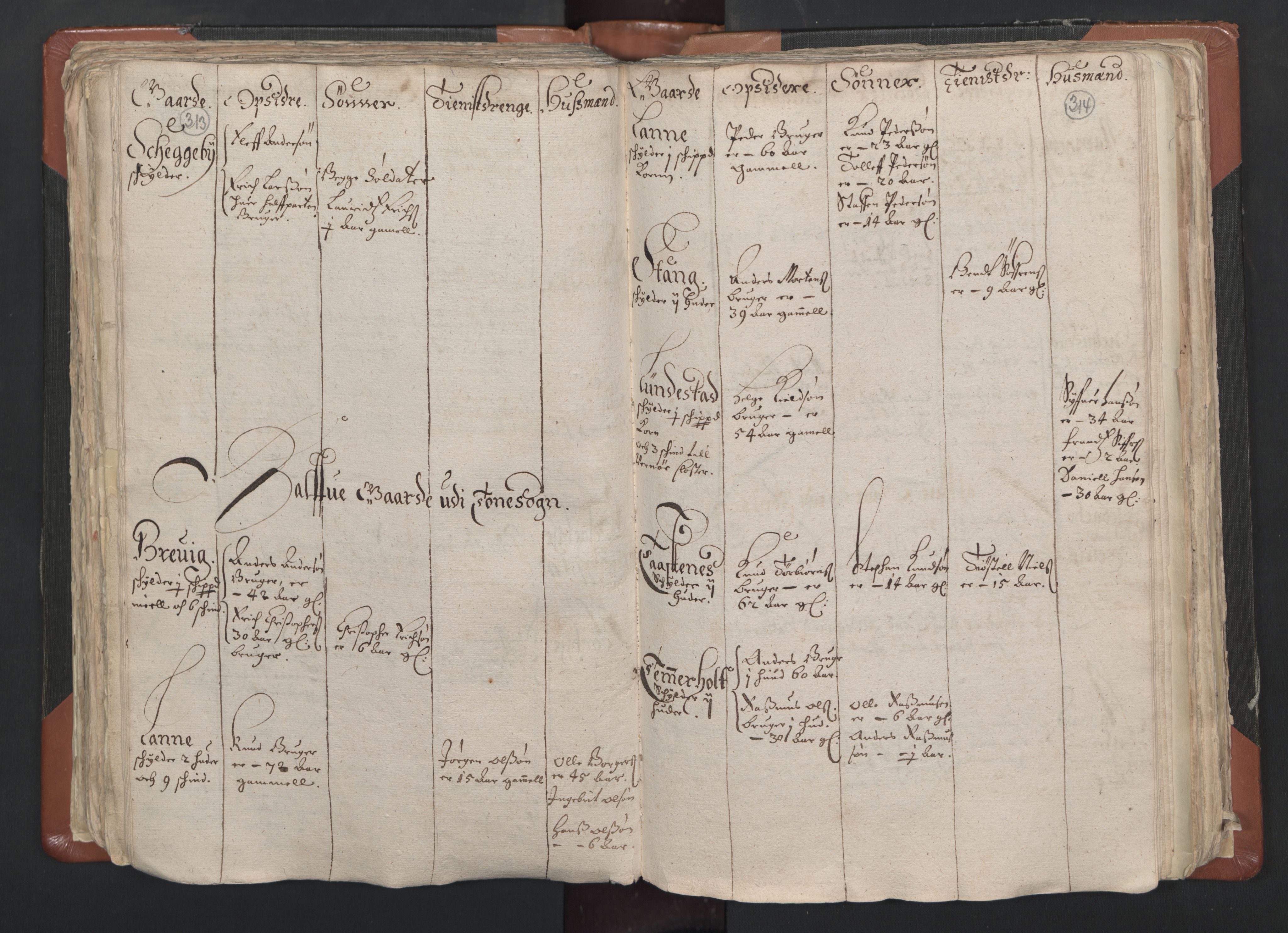 RA, Vicar's Census 1664-1666, no. 1: Nedre Borgesyssel deanery, 1664-1666, p. 313-314