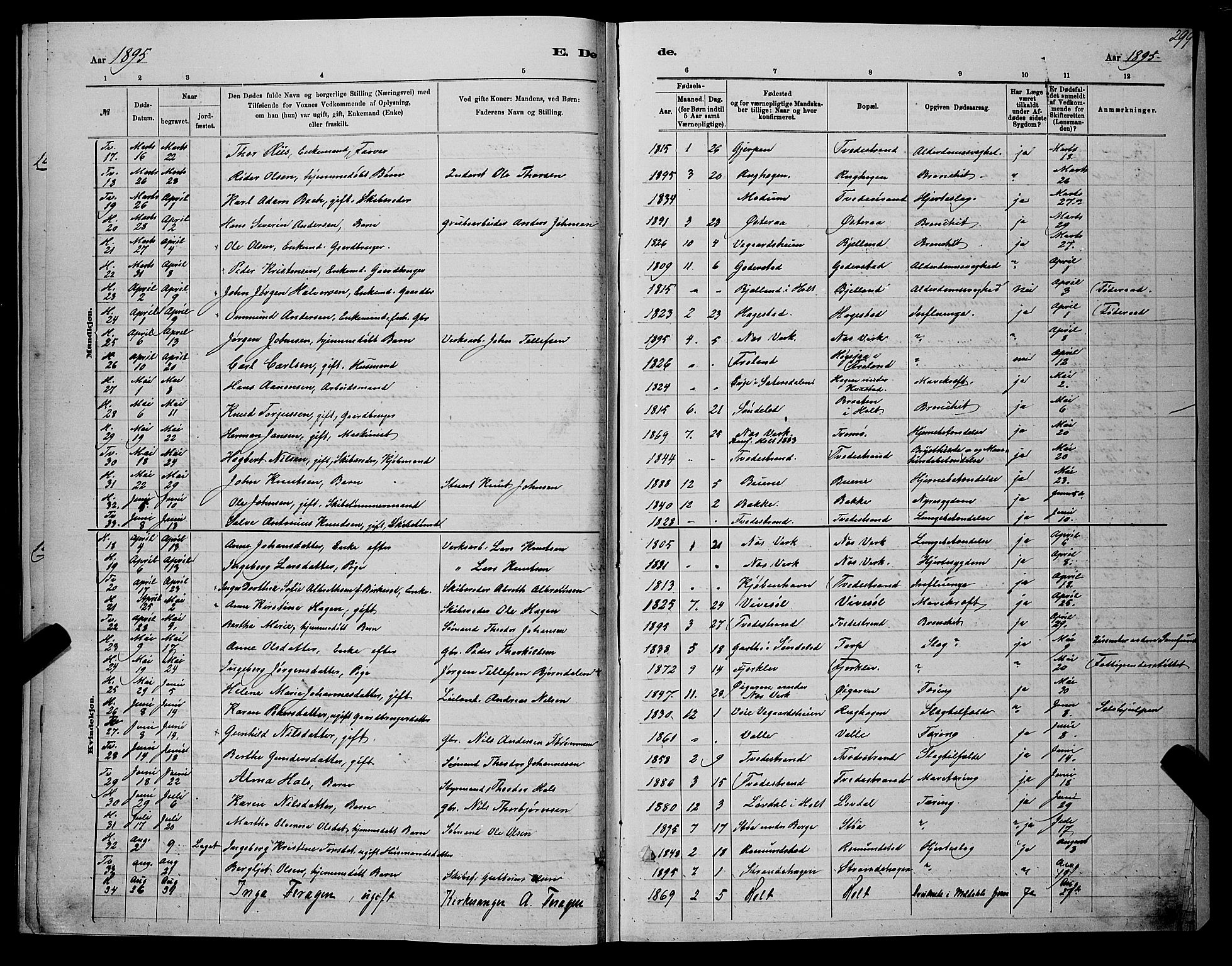 Holt sokneprestkontor, SAK/1111-0021/F/Fb/L0010: Parish register (copy) no. B 10, 1883-1896, p. 299