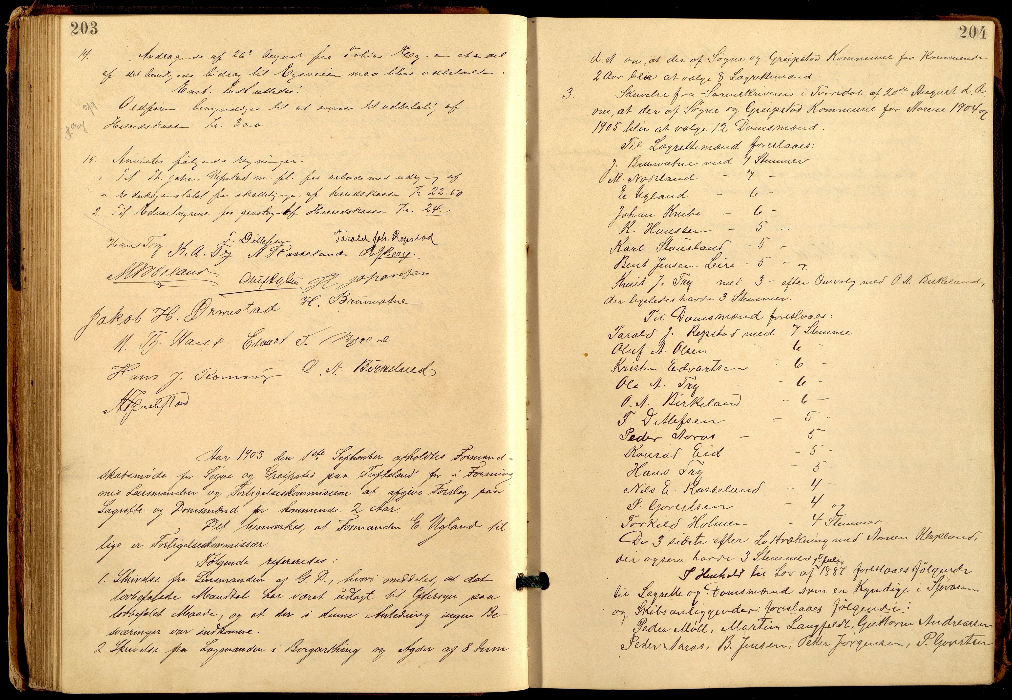 Søgne og Greipstad kommune - Formannskapet, ARKSOR/1018SG120/A/L0006: Møtebok (d), 1901-1909, p. 203-204