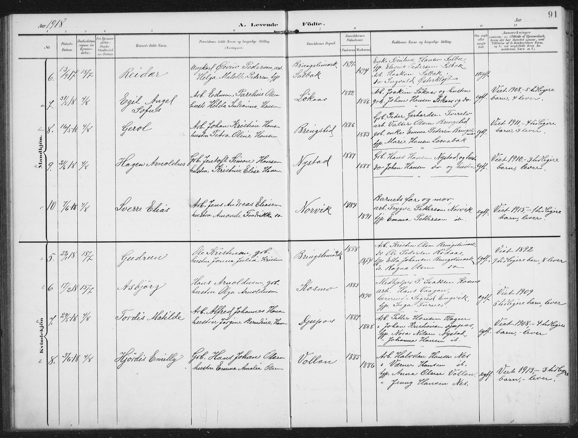 Ministerialprotokoller, klokkerbøker og fødselsregistre - Nordland, AV/SAT-A-1459/851/L0726: Parish register (copy) no. 851C01, 1902-1924, p. 91