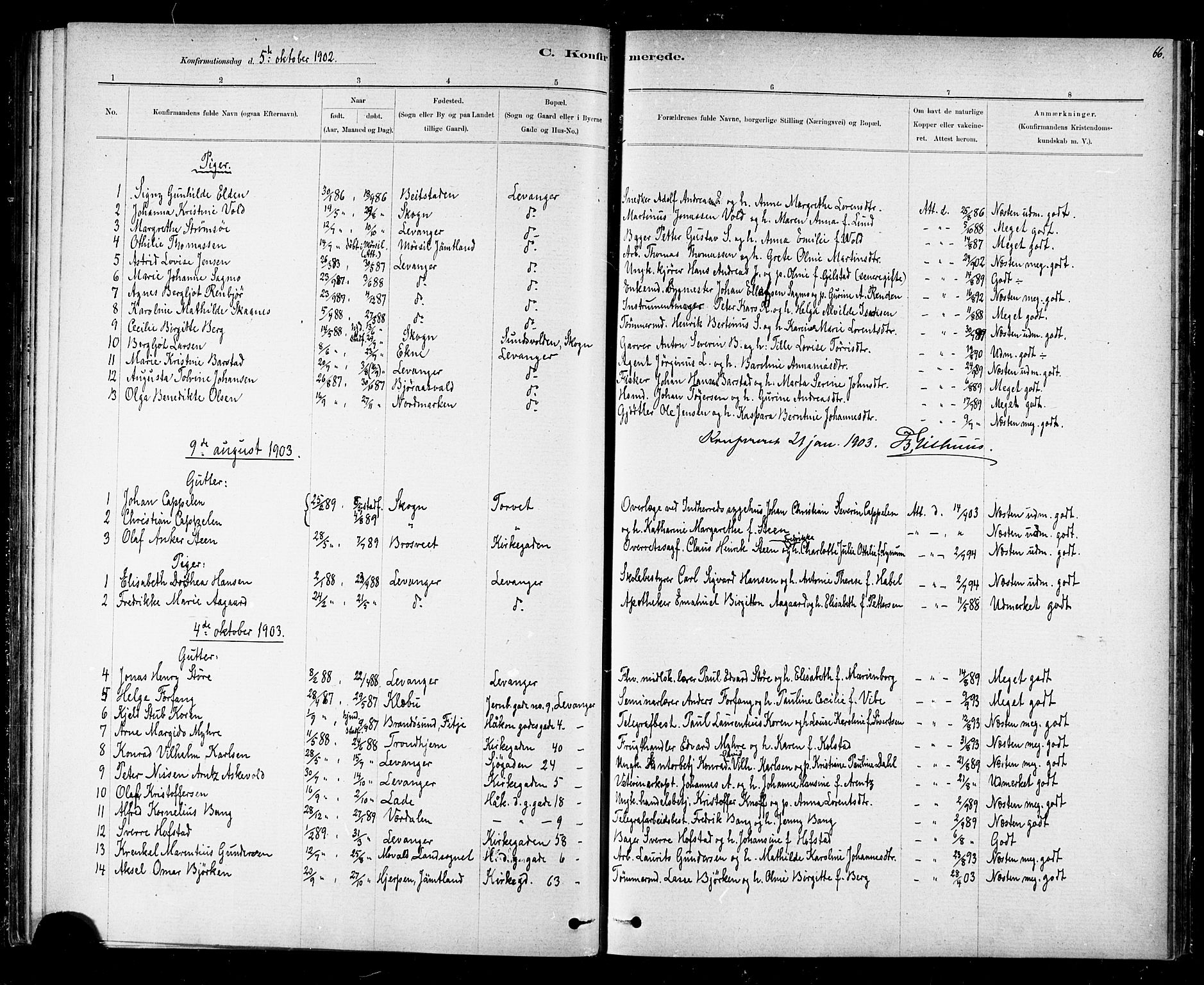 Ministerialprotokoller, klokkerbøker og fødselsregistre - Nord-Trøndelag, SAT/A-1458/720/L0192: Parish register (copy) no. 720C01, 1880-1917, p. 66