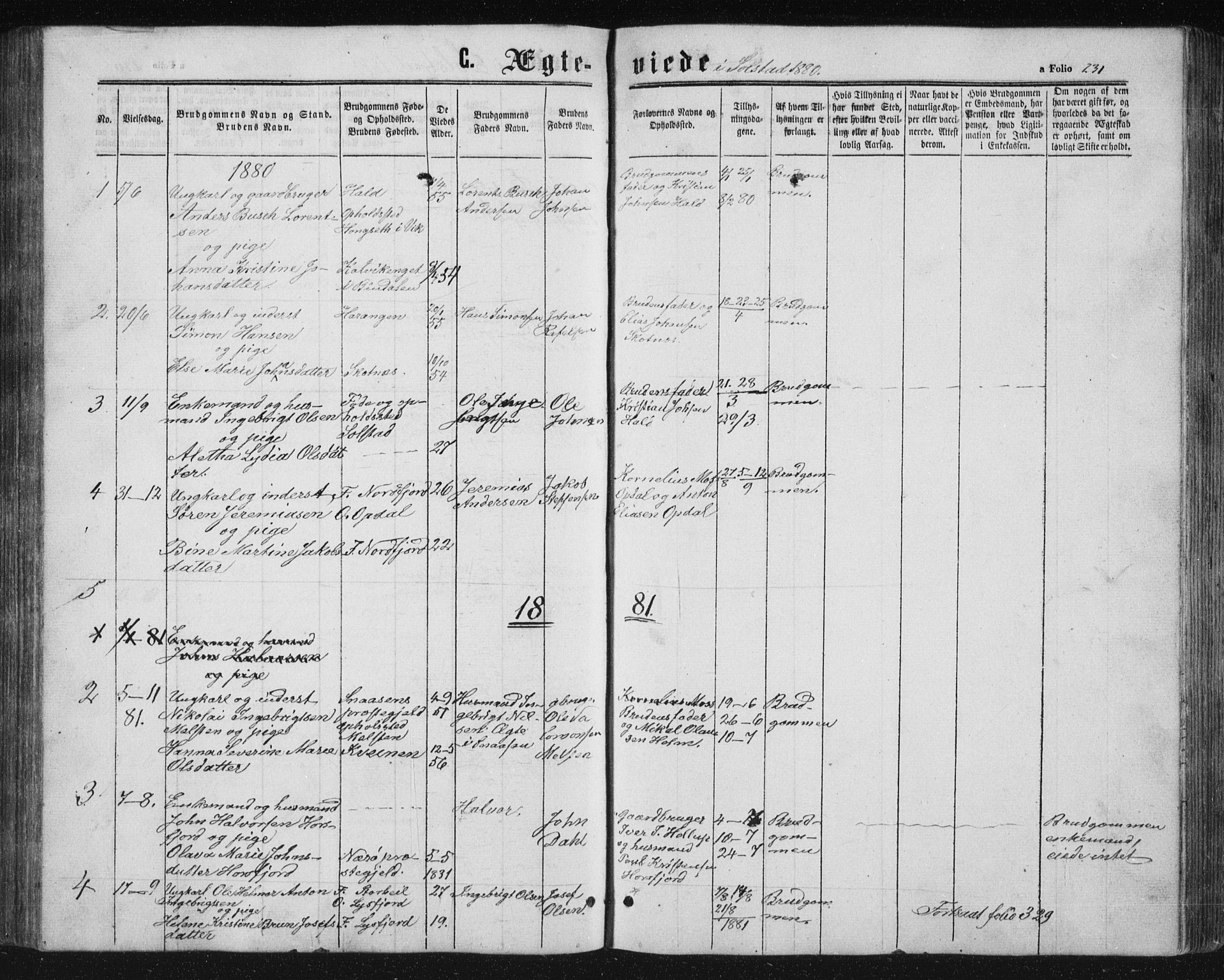 Ministerialprotokoller, klokkerbøker og fødselsregistre - Nordland, AV/SAT-A-1459/810/L0159: Parish register (copy) no. 810C02 /2, 1863-1883, p. 231