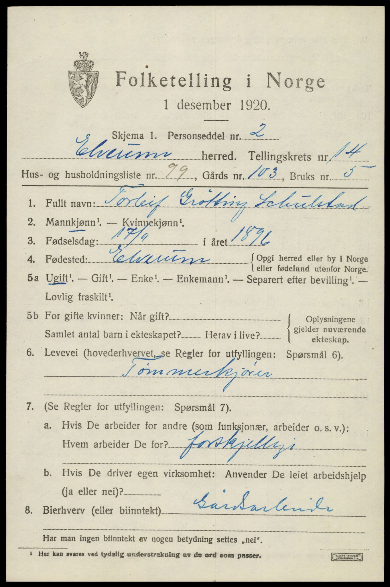 SAH, 1920 census for Elverum, 1920, p. 19252