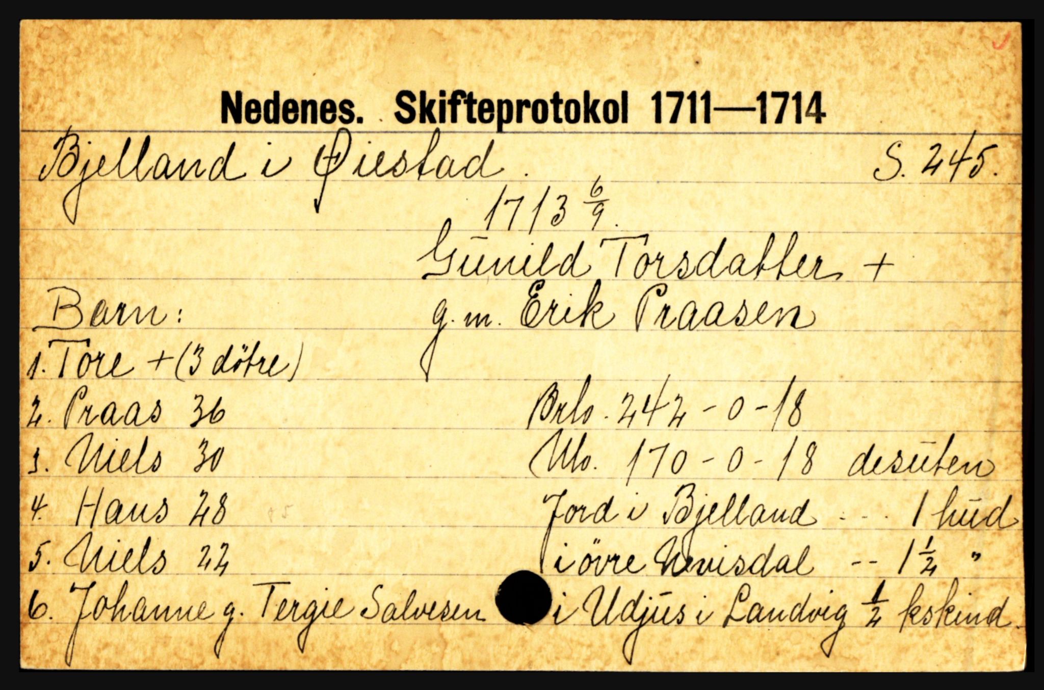 Nedenes sorenskriveri før 1824, AV/SAK-1221-0007/H, p. 2795