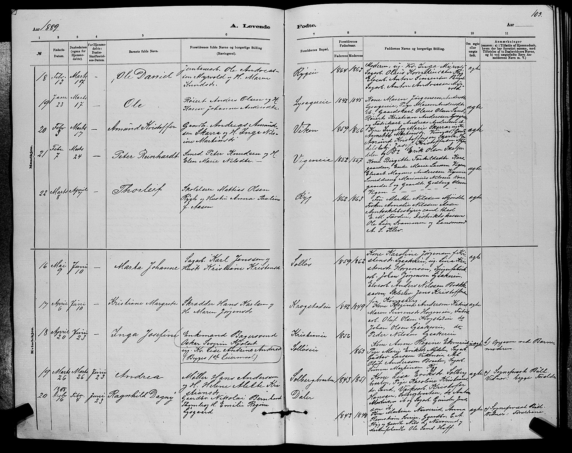 Nedre Eiker kirkebøker, AV/SAKO-A-612/G/Ga/L0002: Parish register (copy) no. 2, 1880-1896, p. 103