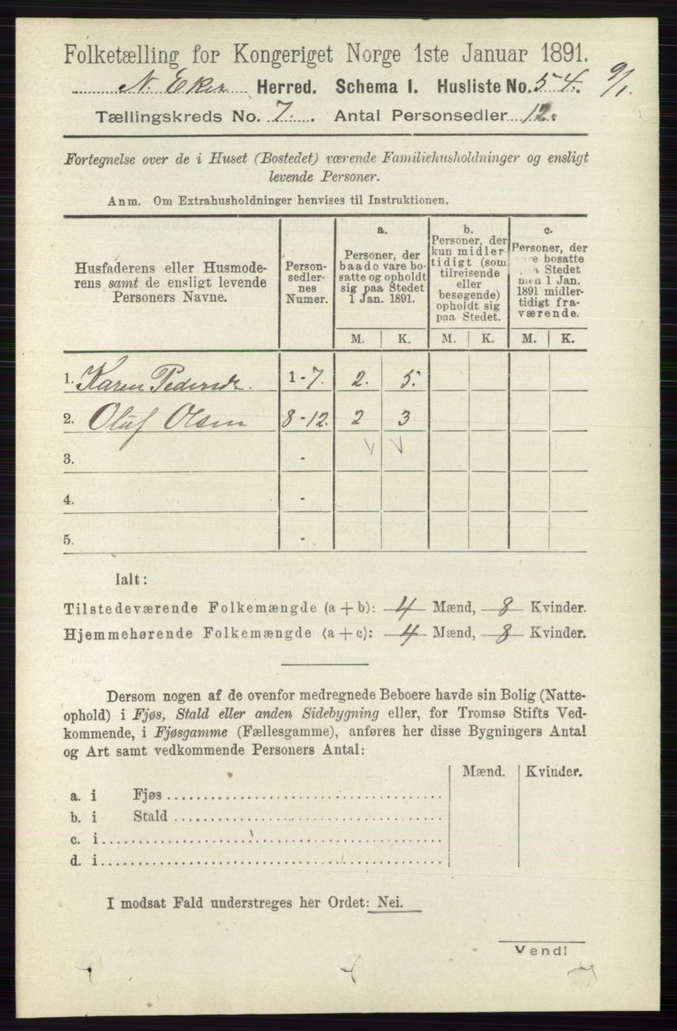 RA, 1891 census for 0625 Nedre Eiker, 1891, p. 3393