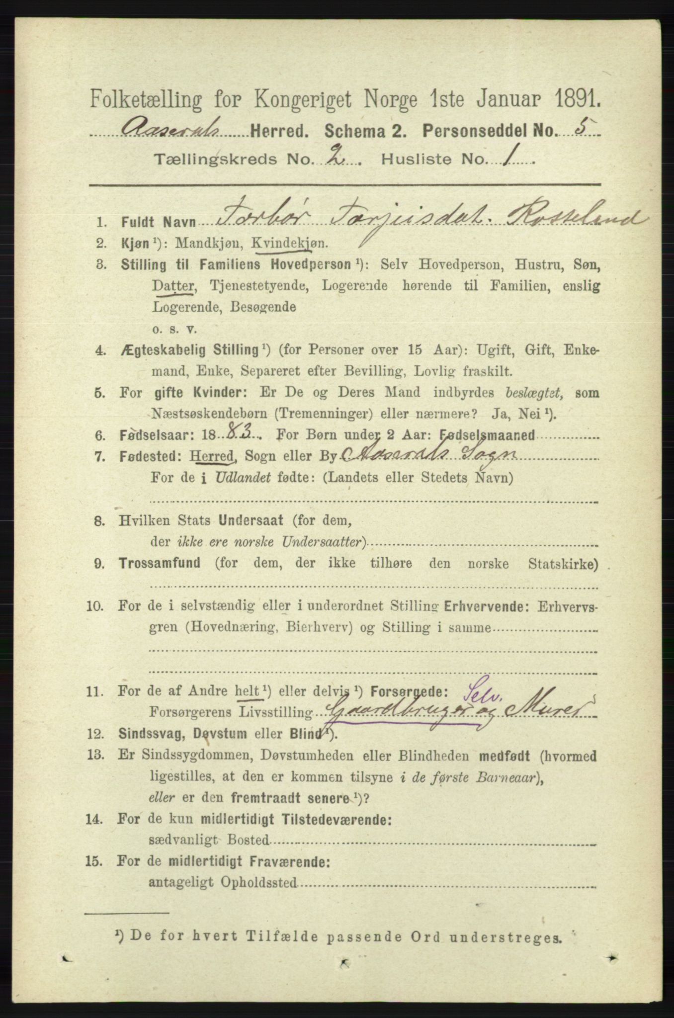 RA, 1891 census for 1026 Åseral, 1891, p. 392