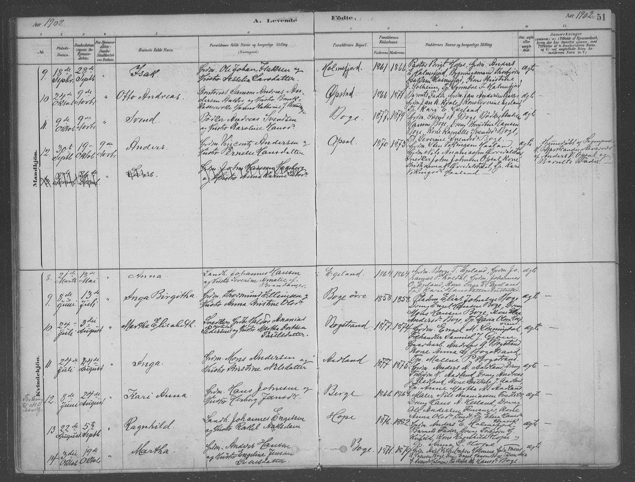 Fusa sokneprestembete, AV/SAB-A-75401/H/Haa: Parish register (official) no. B 1, 1880-1938, p. 51