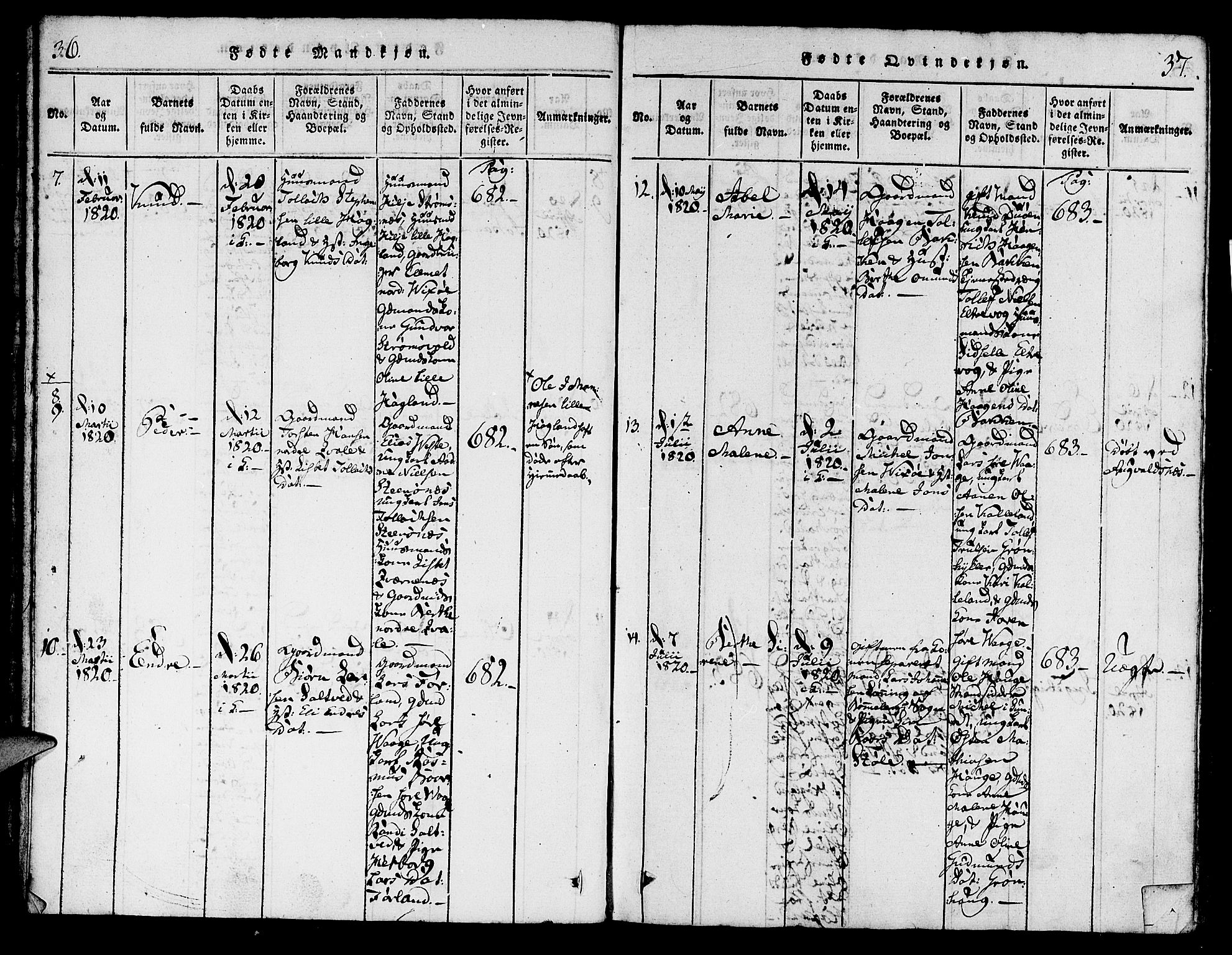 Torvastad sokneprestkontor, SAST/A -101857/H/Ha/Haa/L0004: Parish register (official) no. A 4, 1817-1836, p. 36-37