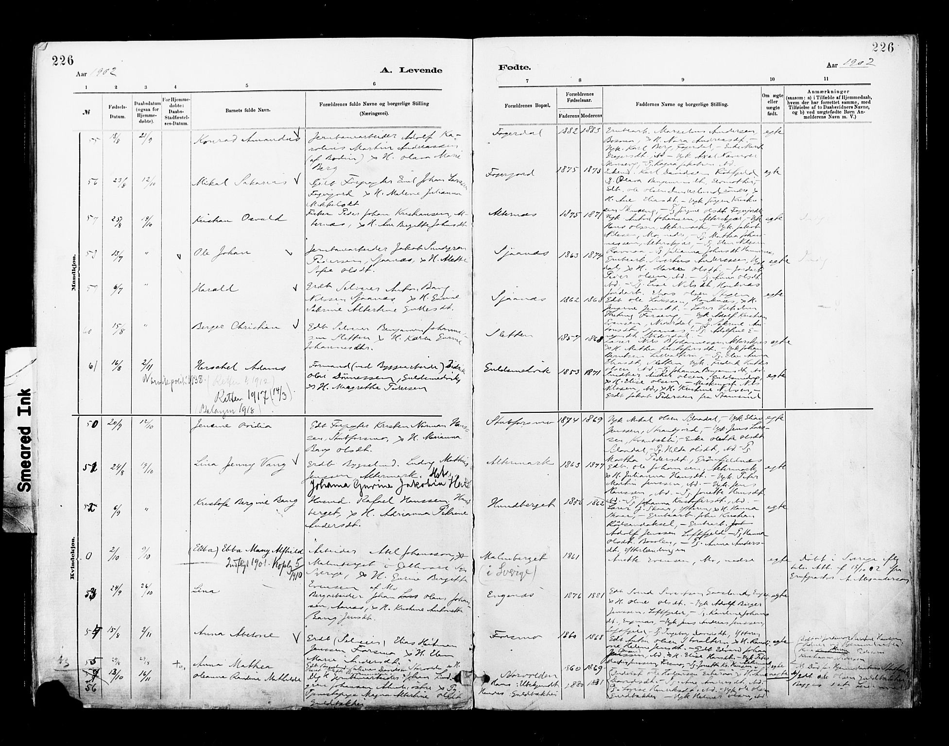 Ministerialprotokoller, klokkerbøker og fødselsregistre - Nordland, AV/SAT-A-1459/827/L0400: Parish register (official) no. 827A12, 1883-1903, p. 226