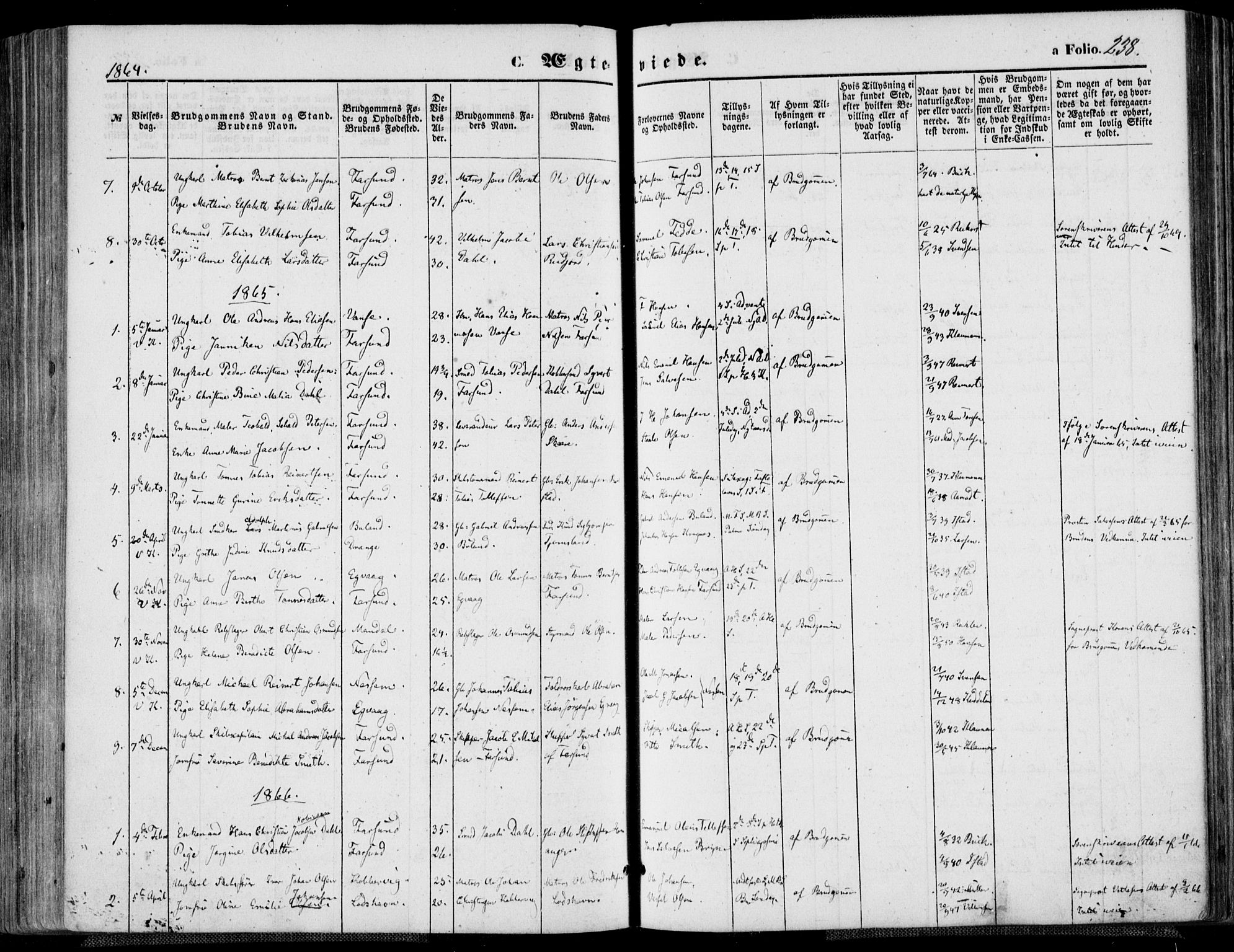 Farsund sokneprestkontor, AV/SAK-1111-0009/F/Fa/L0005: Parish register (official) no. A 5, 1863-1886, p. 238