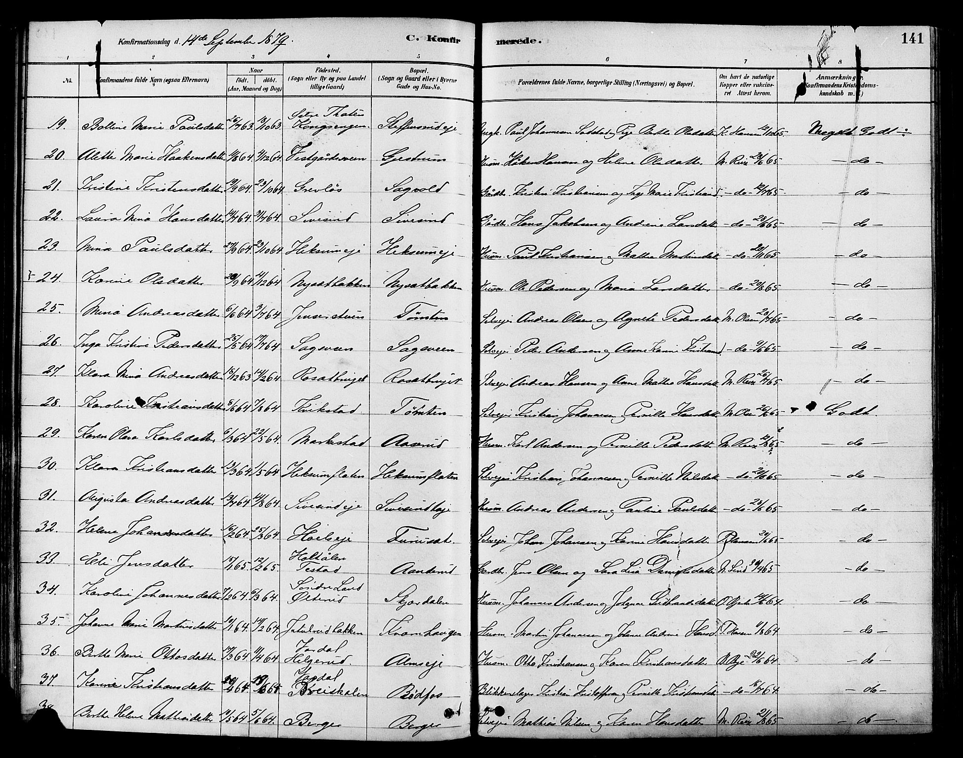 Vestre Toten prestekontor, SAH/PREST-108/H/Ha/Haa/L0009: Parish register (official) no. 9, 1878-1894, p. 141