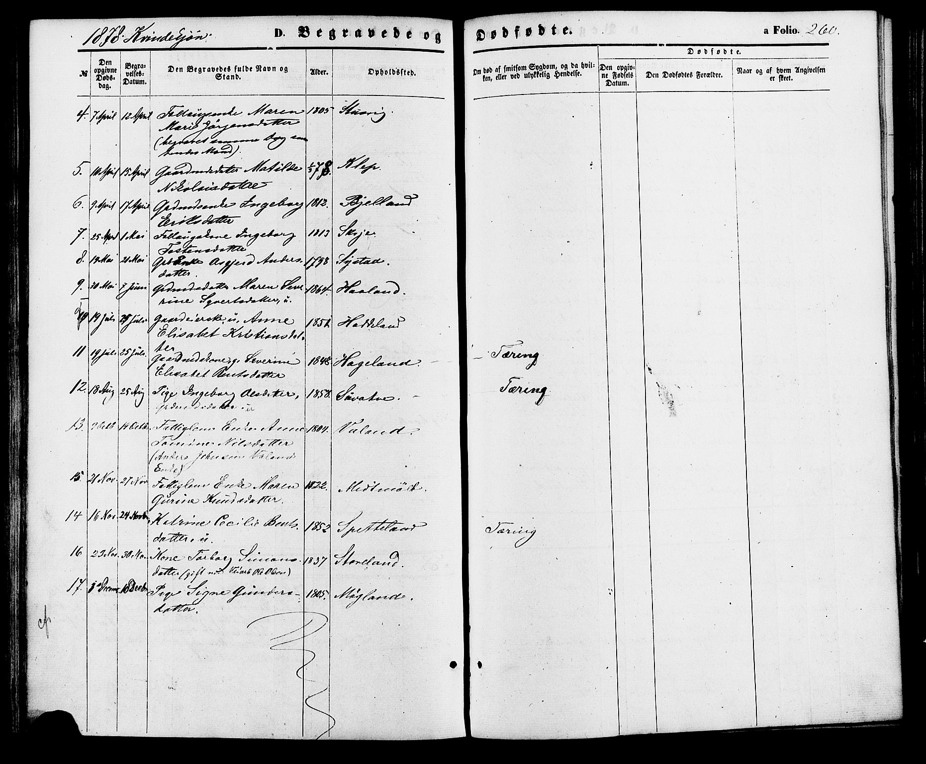 Holum sokneprestkontor, AV/SAK-1111-0022/F/Fa/Faa/L0006: Parish register (official) no. A 6, 1865-1883, p. 260