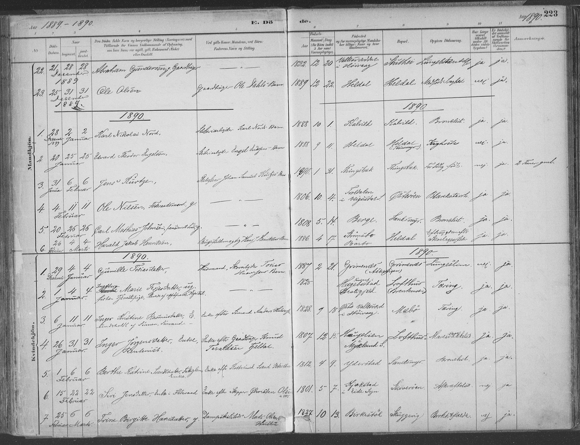 Vestre Moland sokneprestkontor, SAK/1111-0046/F/Fa/Fab/L0009: Parish register (official) no. A 9, 1884-1899, p. 223