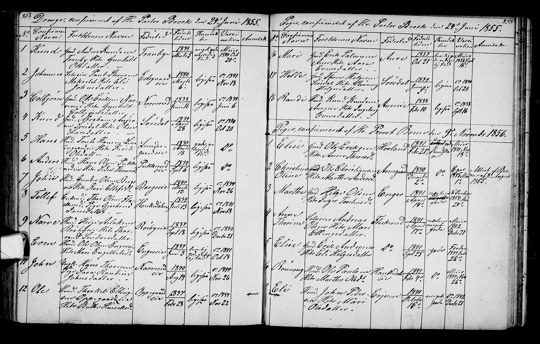 Lunder kirkebøker, SAKO/A-629/G/Ga/L0002: Parish register (copy) no. I 2, 1849-1868, p. 252-253