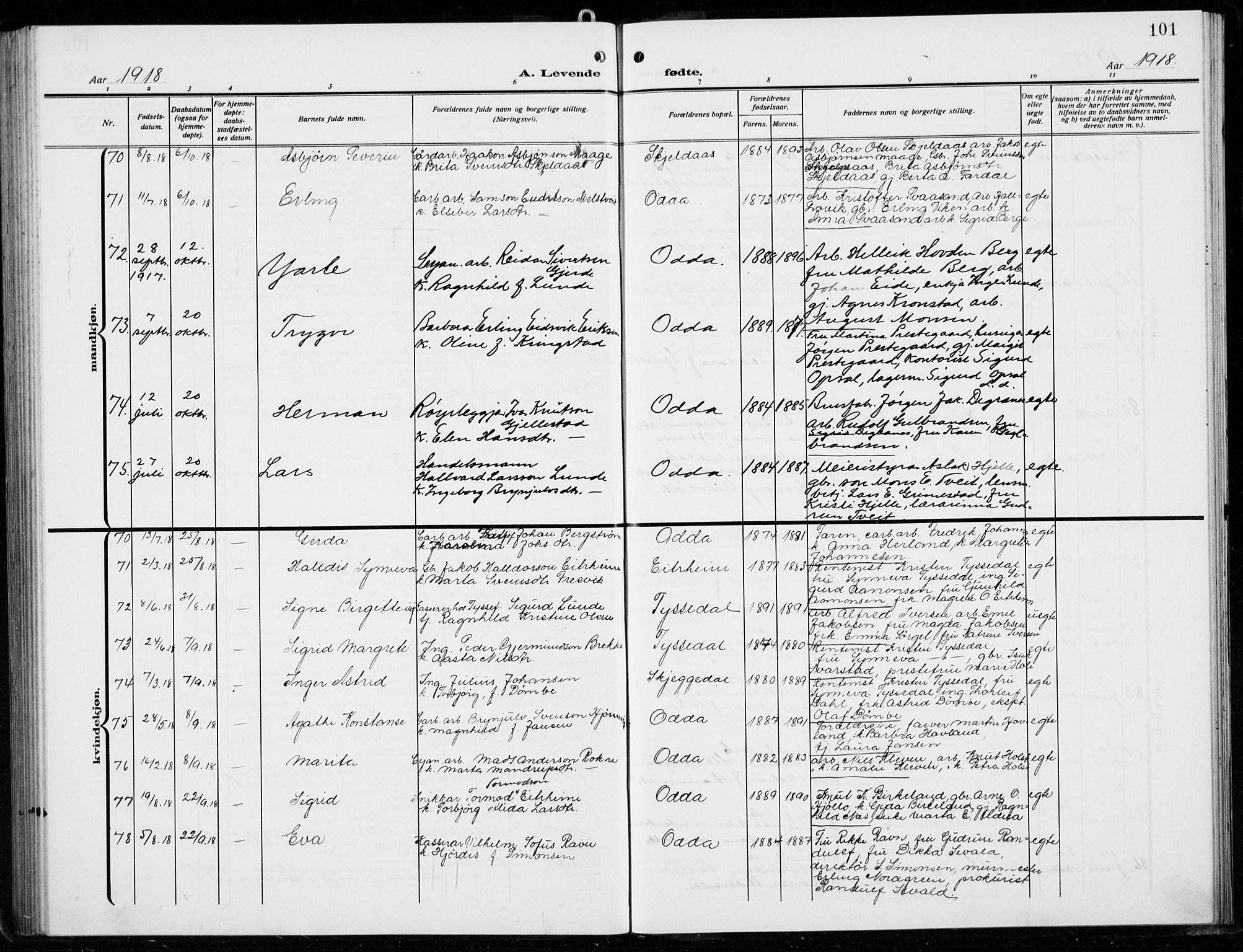 Odda Sokneprestembete, AV/SAB-A-77201/H/Hab: Parish register (copy) no. B  2, 1910-1923, p. 101