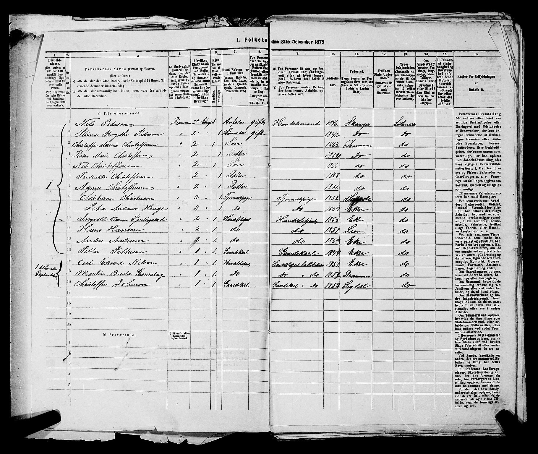 SAKO, 1875 census for 0602 Drammen, 1875, p. 2374
