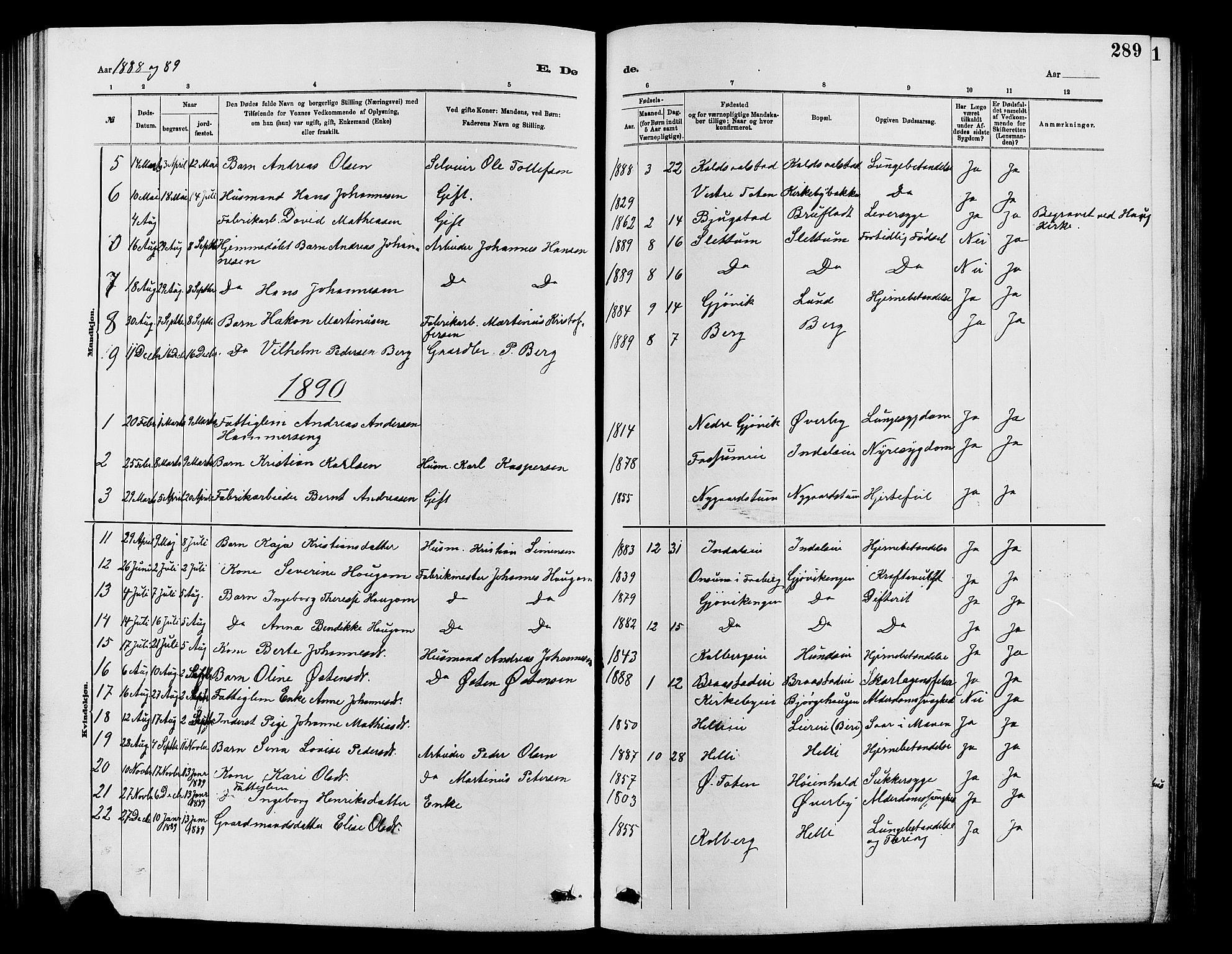 Vardal prestekontor, SAH/PREST-100/H/Ha/Hab/L0007: Parish register (copy) no. 7 /1, 1881-1895, p. 289