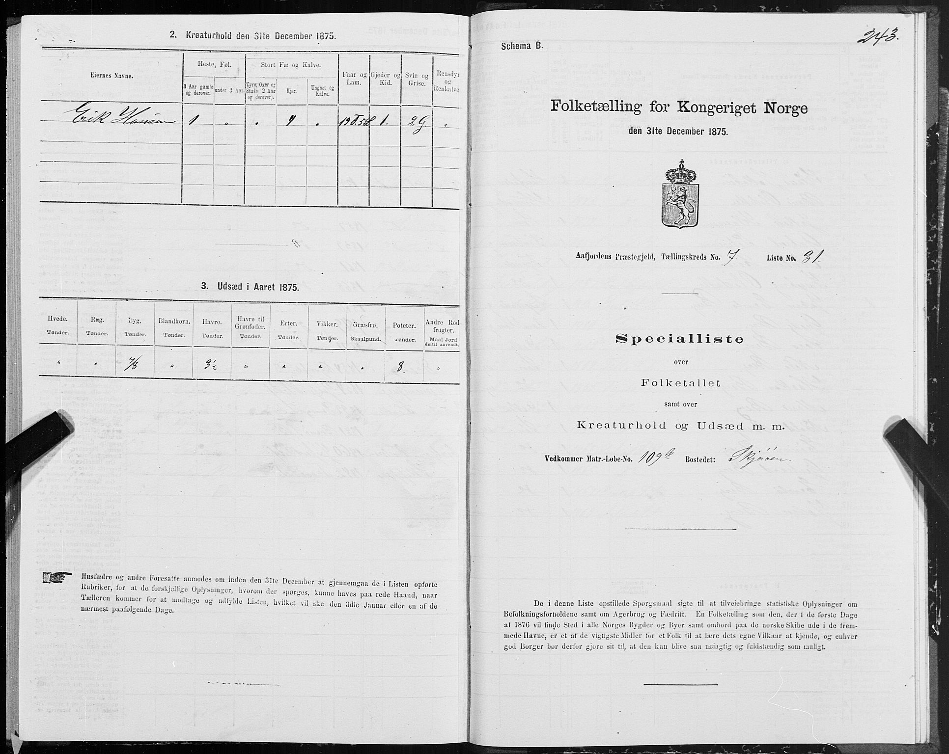 SAT, 1875 census for 1630P Aafjorden, 1875, p. 3243