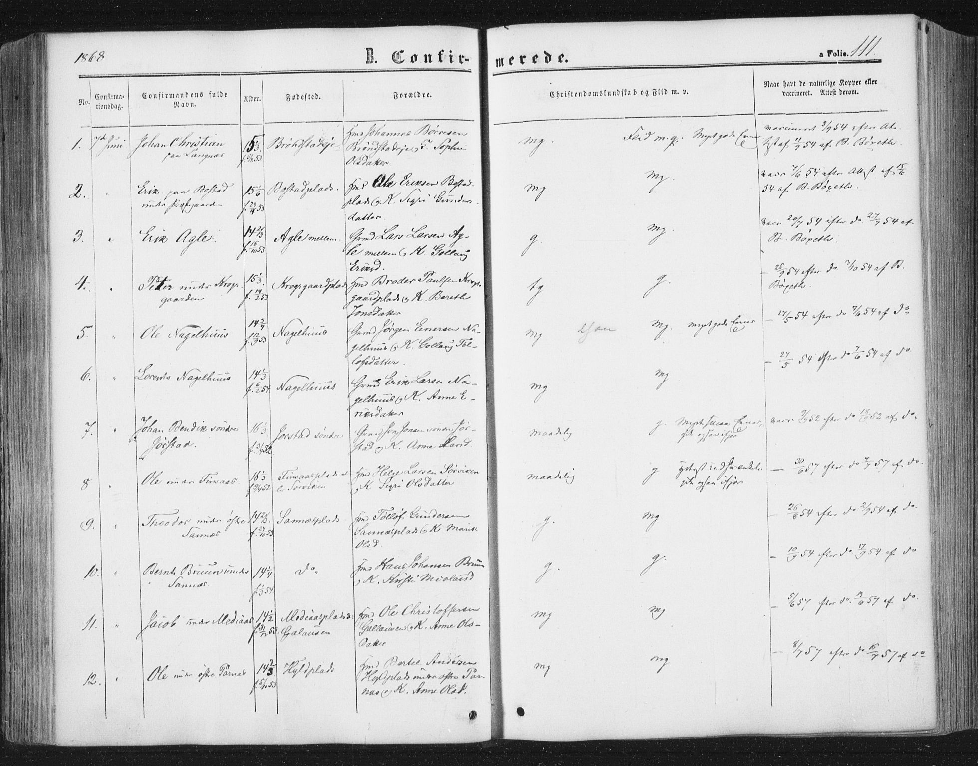 Ministerialprotokoller, klokkerbøker og fødselsregistre - Nord-Trøndelag, SAT/A-1458/749/L0472: Parish register (official) no. 749A06, 1857-1873, p. 111