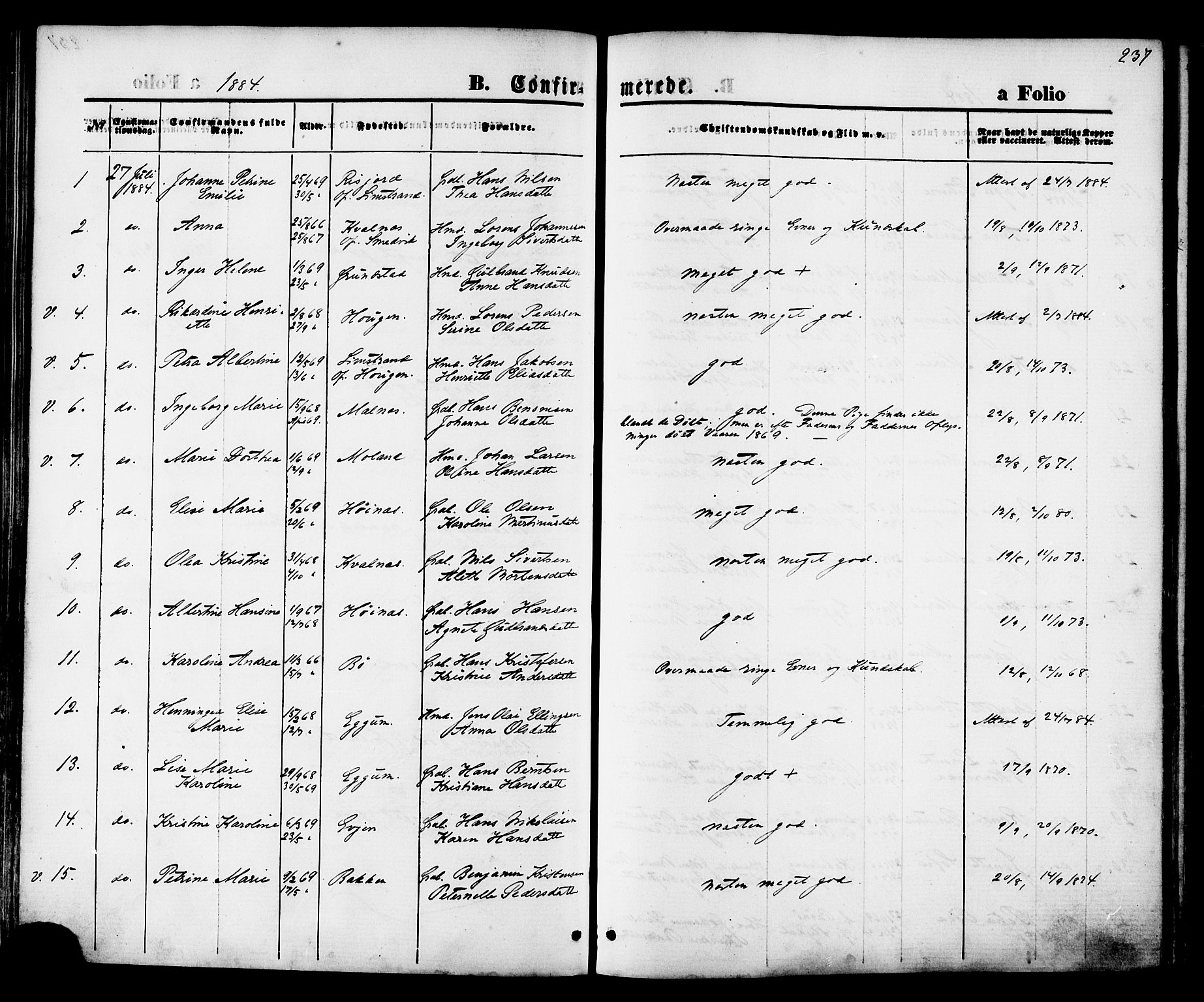 Ministerialprotokoller, klokkerbøker og fødselsregistre - Nordland, AV/SAT-A-1459/880/L1132: Parish register (official) no. 880A06, 1869-1887, p. 237