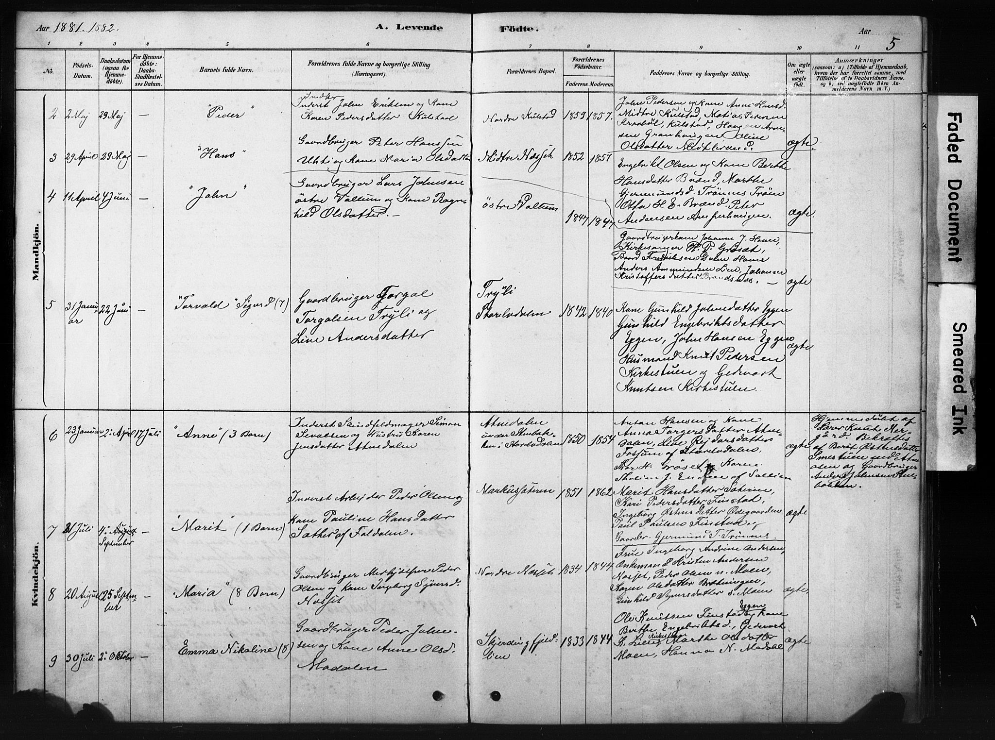 Sollia prestekontor, AV/SAH-PREST-050/H/Ha/Hab/L0002: Parish register (copy) no. 2, 1880-1933, p. 5