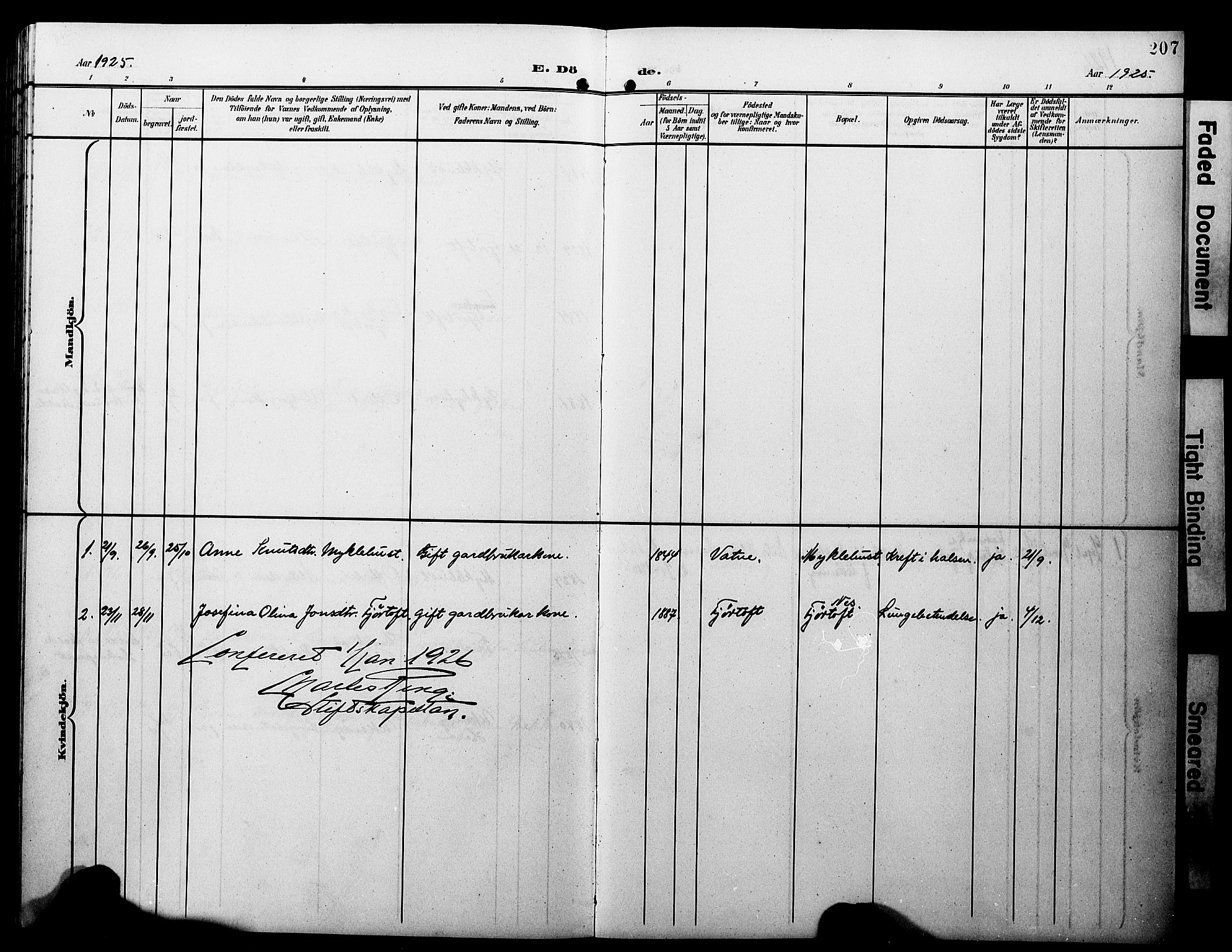 Ministerialprotokoller, klokkerbøker og fødselsregistre - Møre og Romsdal, AV/SAT-A-1454/538/L0524: Parish register (copy) no. 538C02, 1901-1931, p. 207