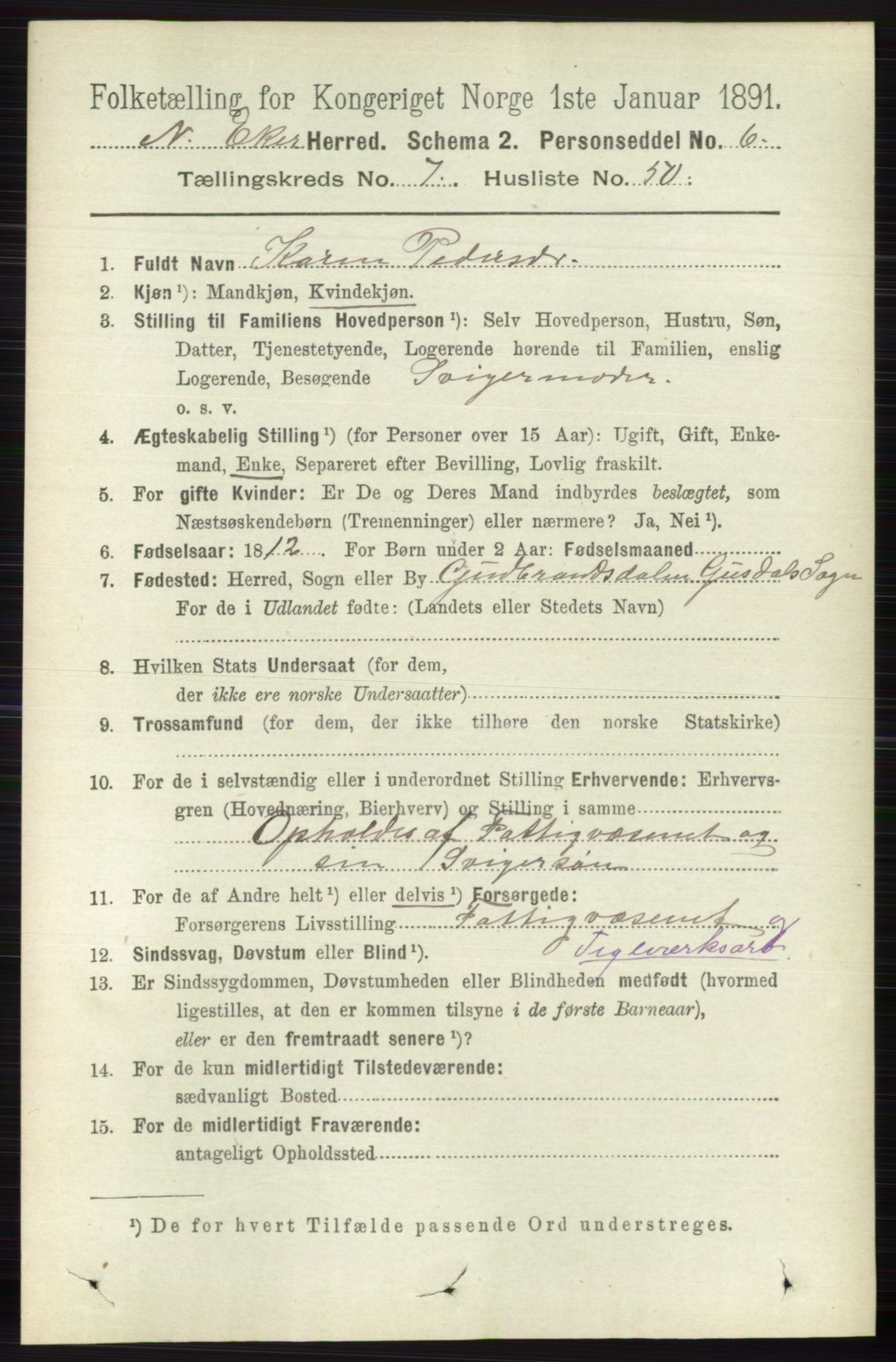 RA, 1891 census for 0625 Nedre Eiker, 1891, p. 3763