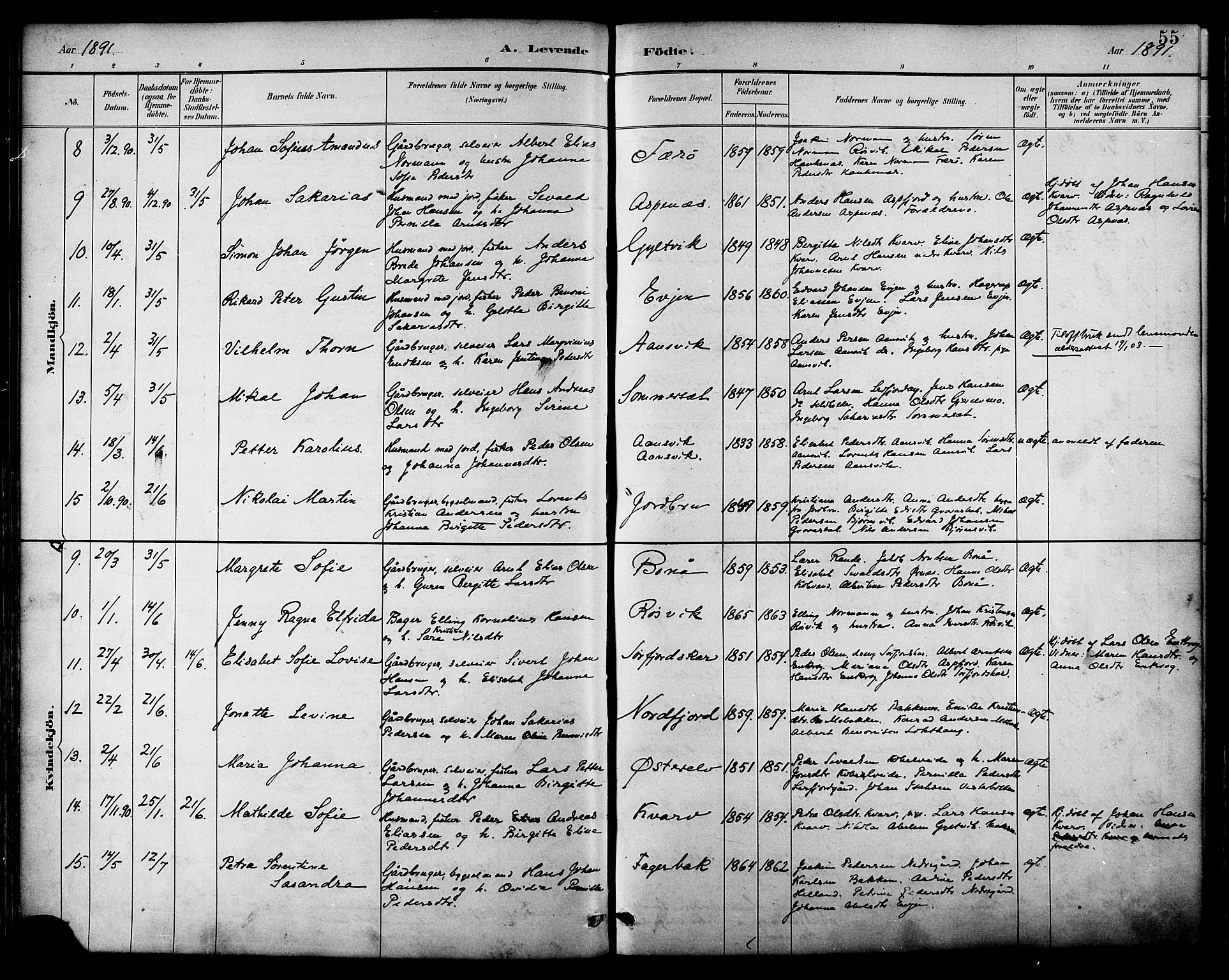 Ministerialprotokoller, klokkerbøker og fødselsregistre - Nordland, SAT/A-1459/854/L0777: Parish register (official) no. 854A01 /1, 1883-1891, p. 55