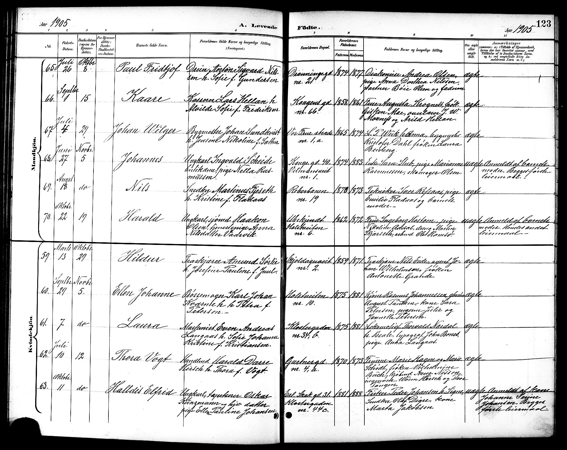 Ministerialprotokoller, klokkerbøker og fødselsregistre - Sør-Trøndelag, SAT/A-1456/601/L0094: Parish register (copy) no. 601C12, 1898-1911, p. 123