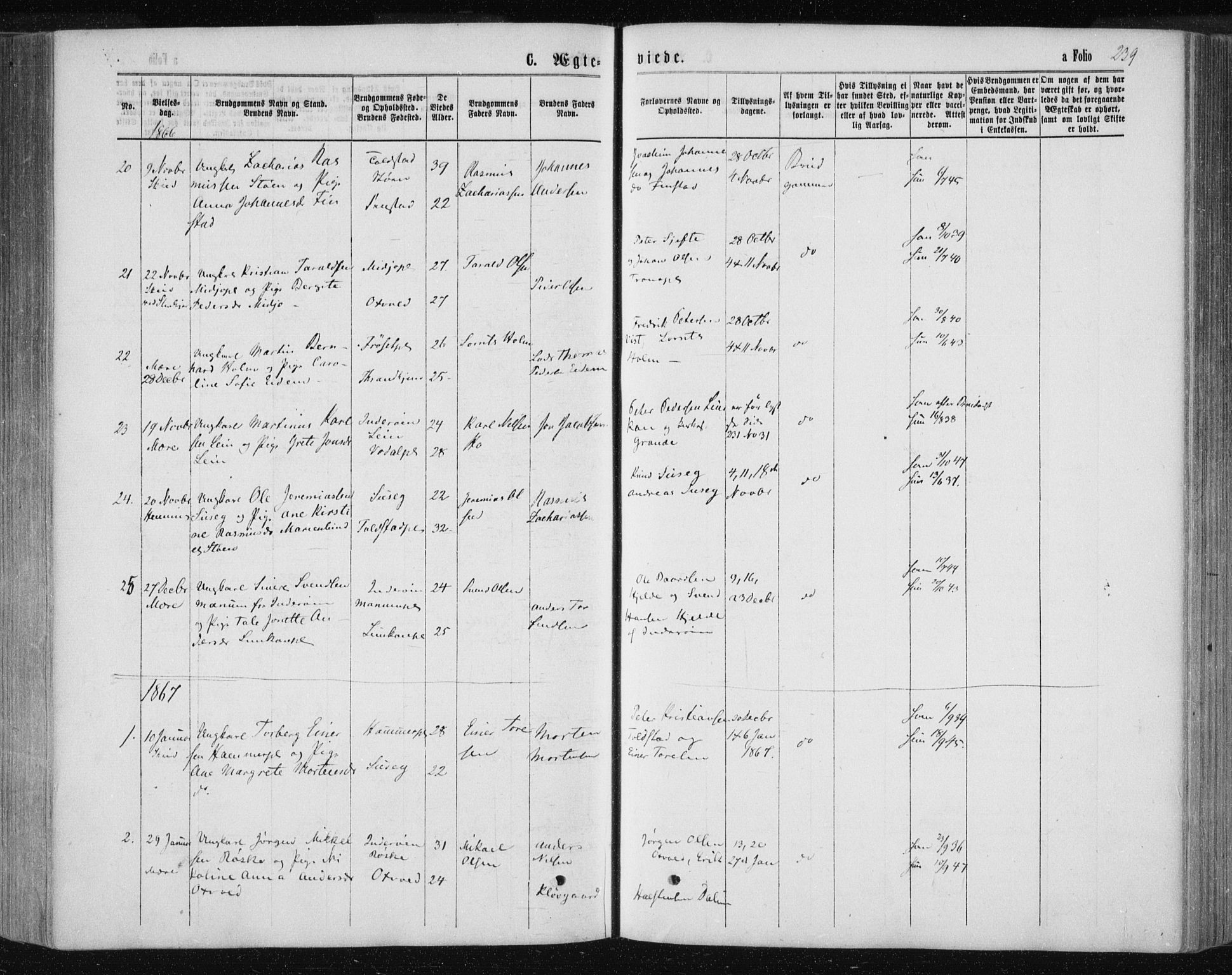 Ministerialprotokoller, klokkerbøker og fødselsregistre - Nord-Trøndelag, SAT/A-1458/735/L0345: Parish register (official) no. 735A08 /1, 1863-1872, p. 239