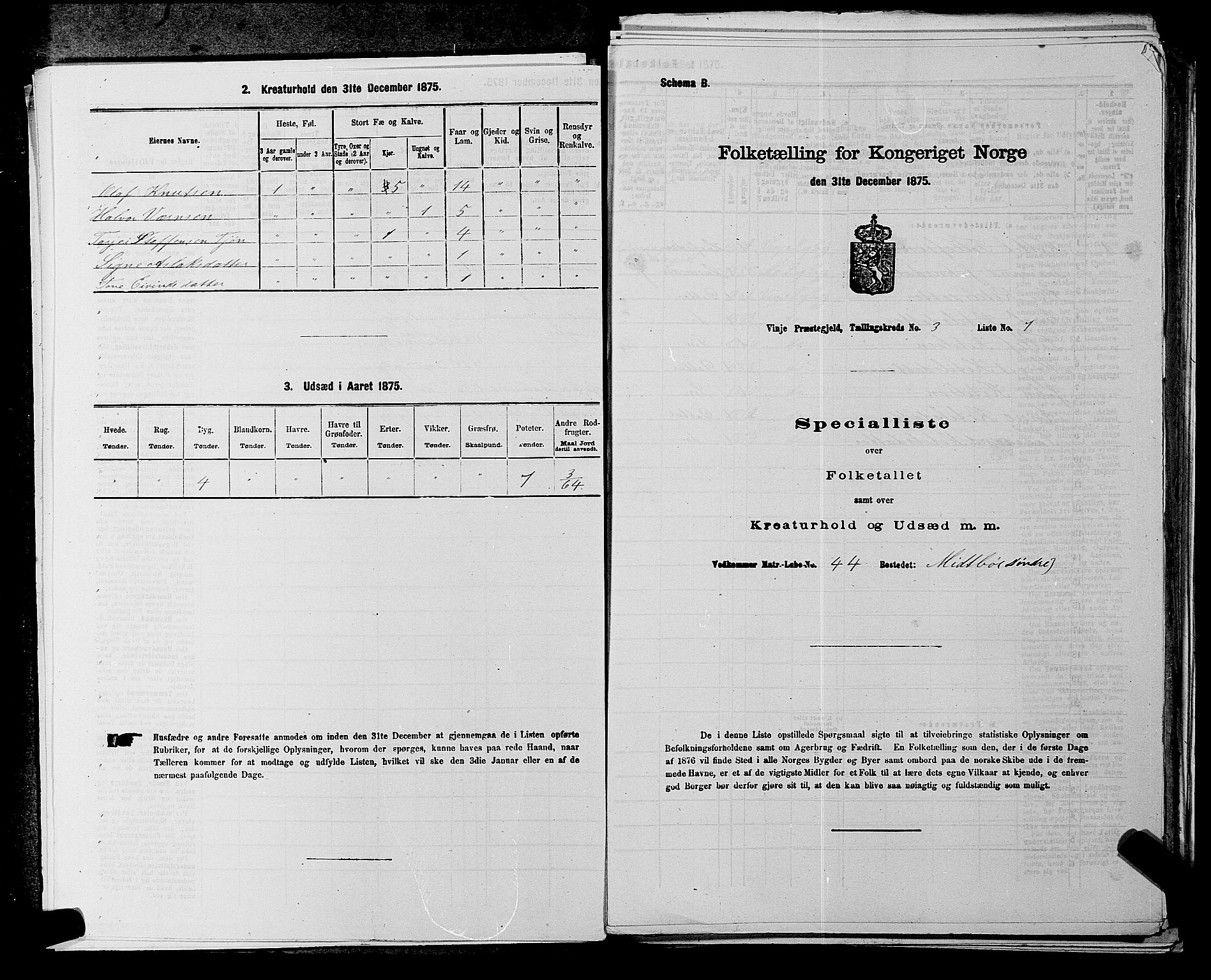 SAKO, 1875 census for 0834P Vinje, 1875, p. 243