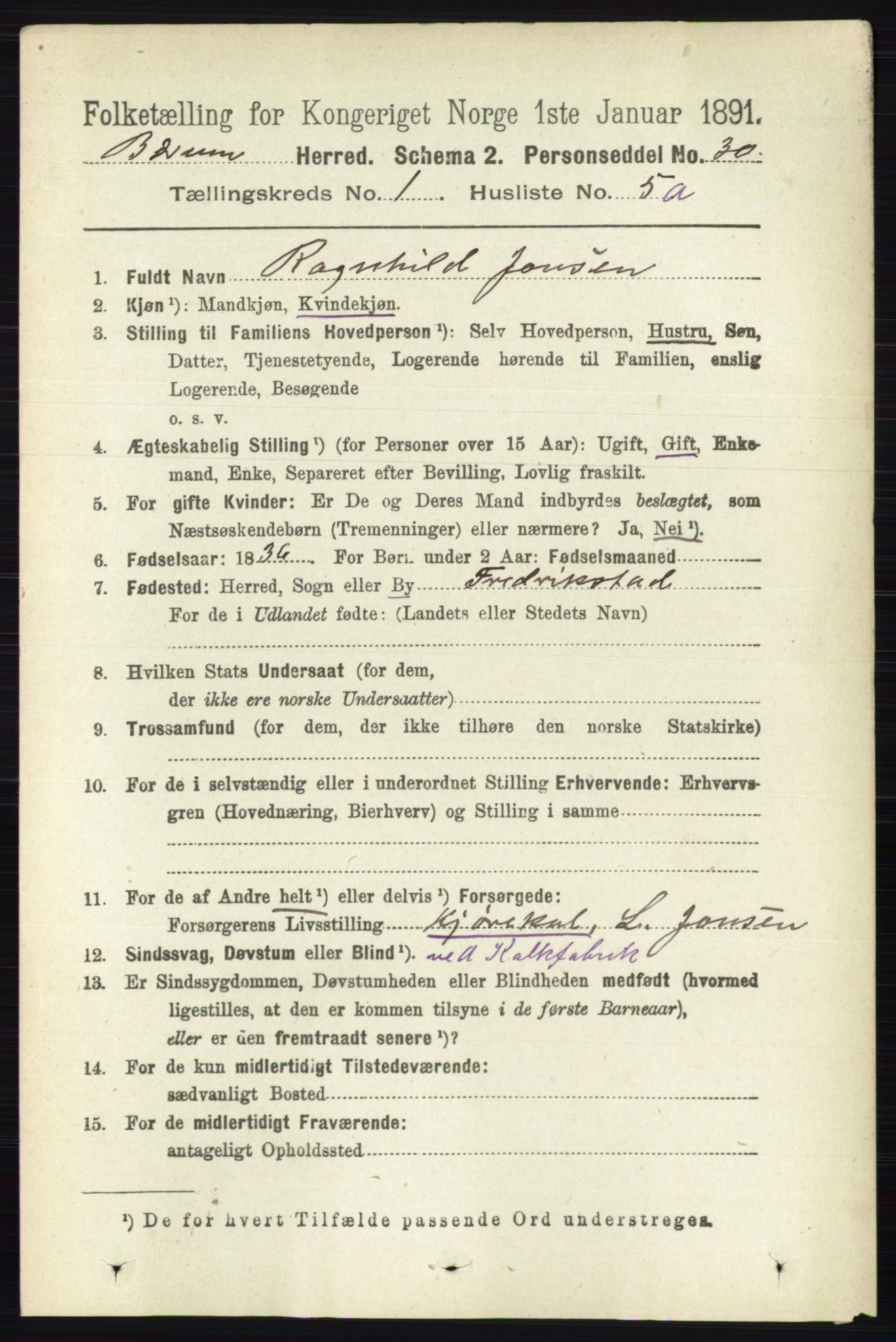 RA, 1891 census for 0219 Bærum, 1891, p. 213