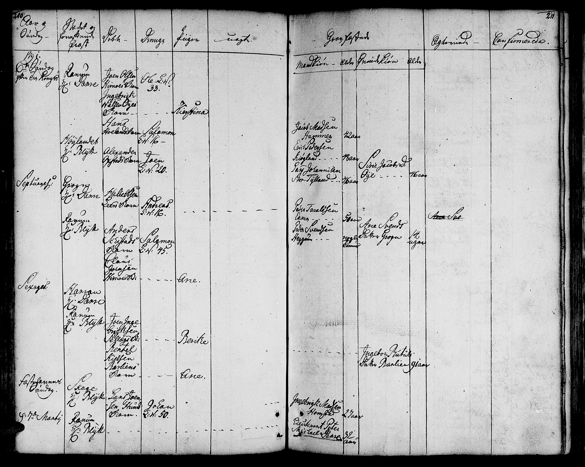 Ministerialprotokoller, klokkerbøker og fødselsregistre - Nord-Trøndelag, AV/SAT-A-1458/764/L0544: Parish register (official) no. 764A04, 1780-1798, p. 210-211