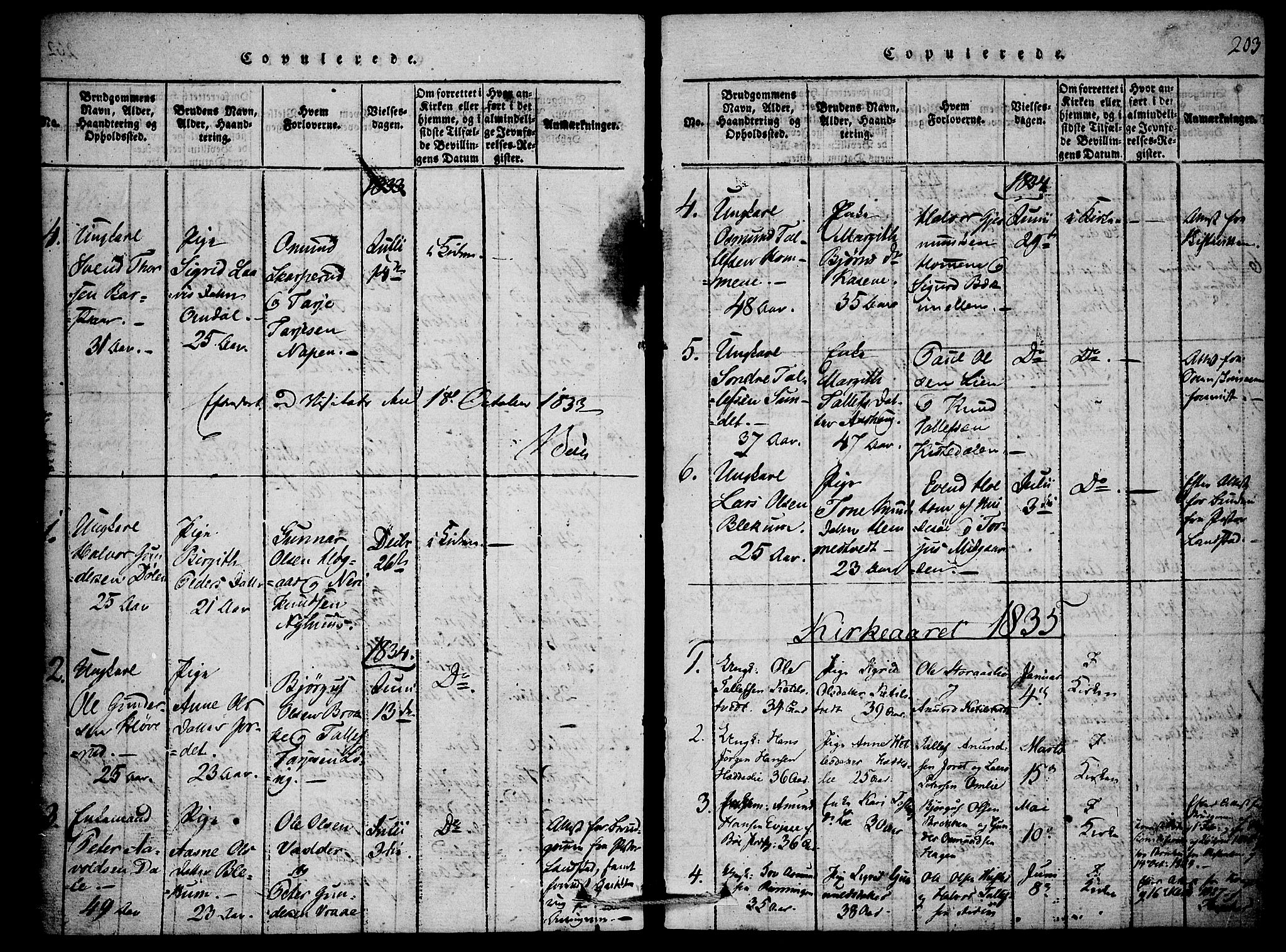 Mo kirkebøker, SAKO/A-286/F/Fb/L0001: Parish register (official) no. II 1, 1814-1844, p. 203